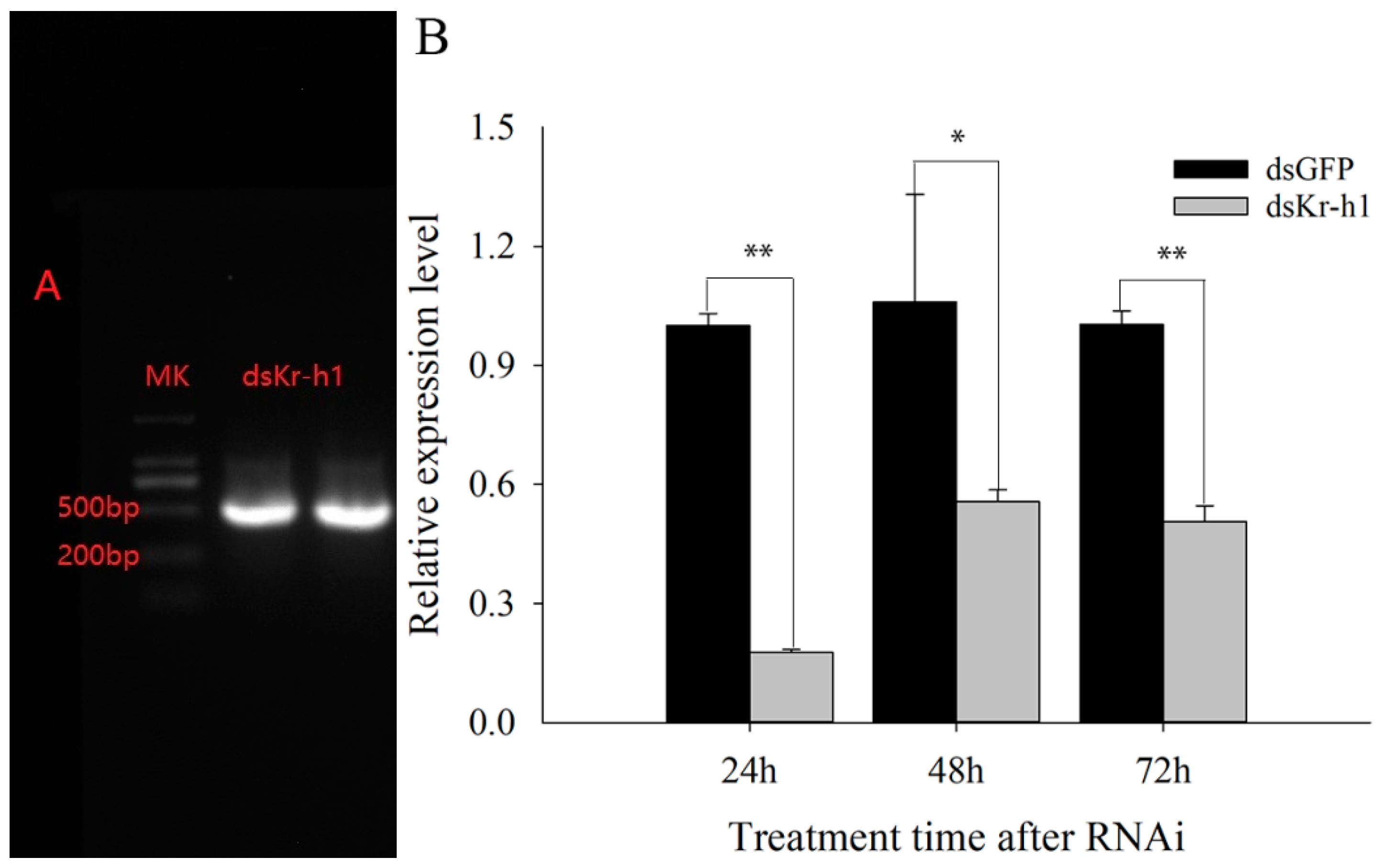 Ijms 23 13769 g005 Ijms 23 13769 g005