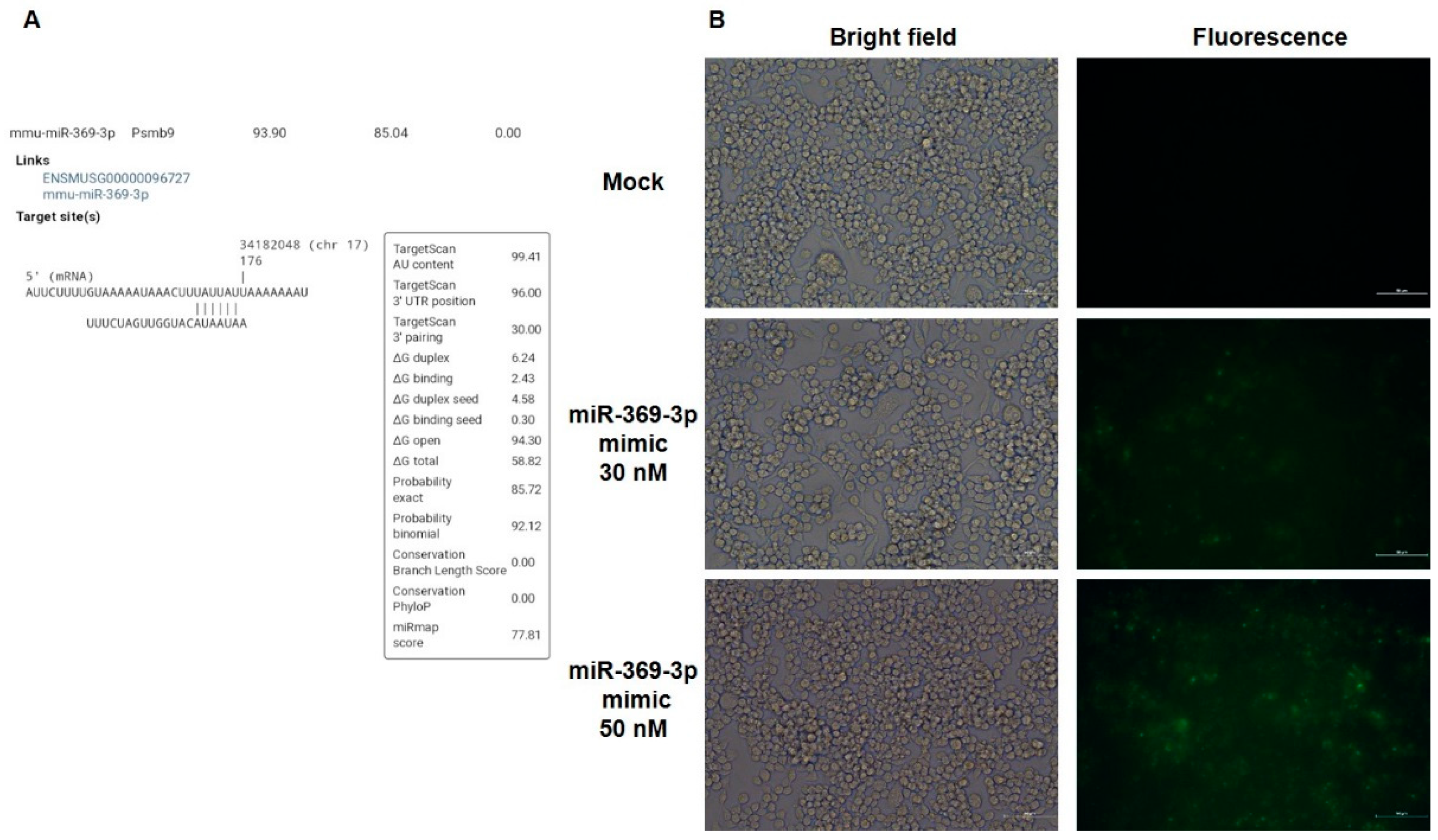 Ijms 23 13771 g001 Ijms 23 13771 g001