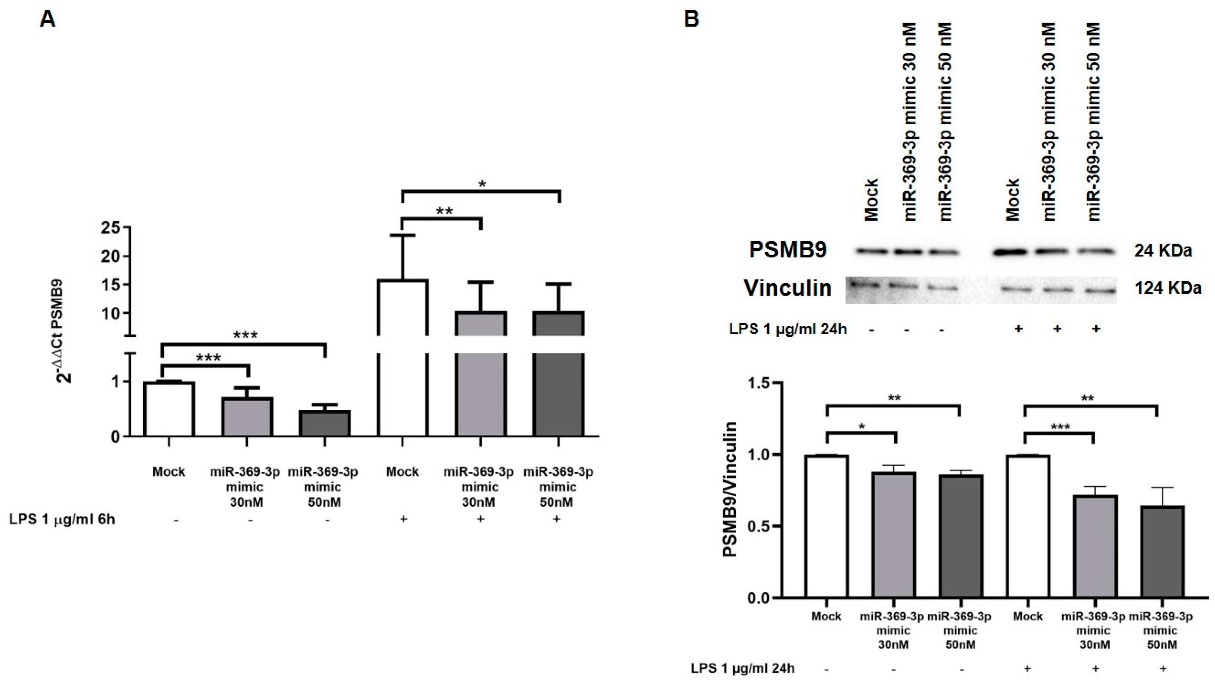 Ijms 23 13771 g002 Ijms 23 13771 g002