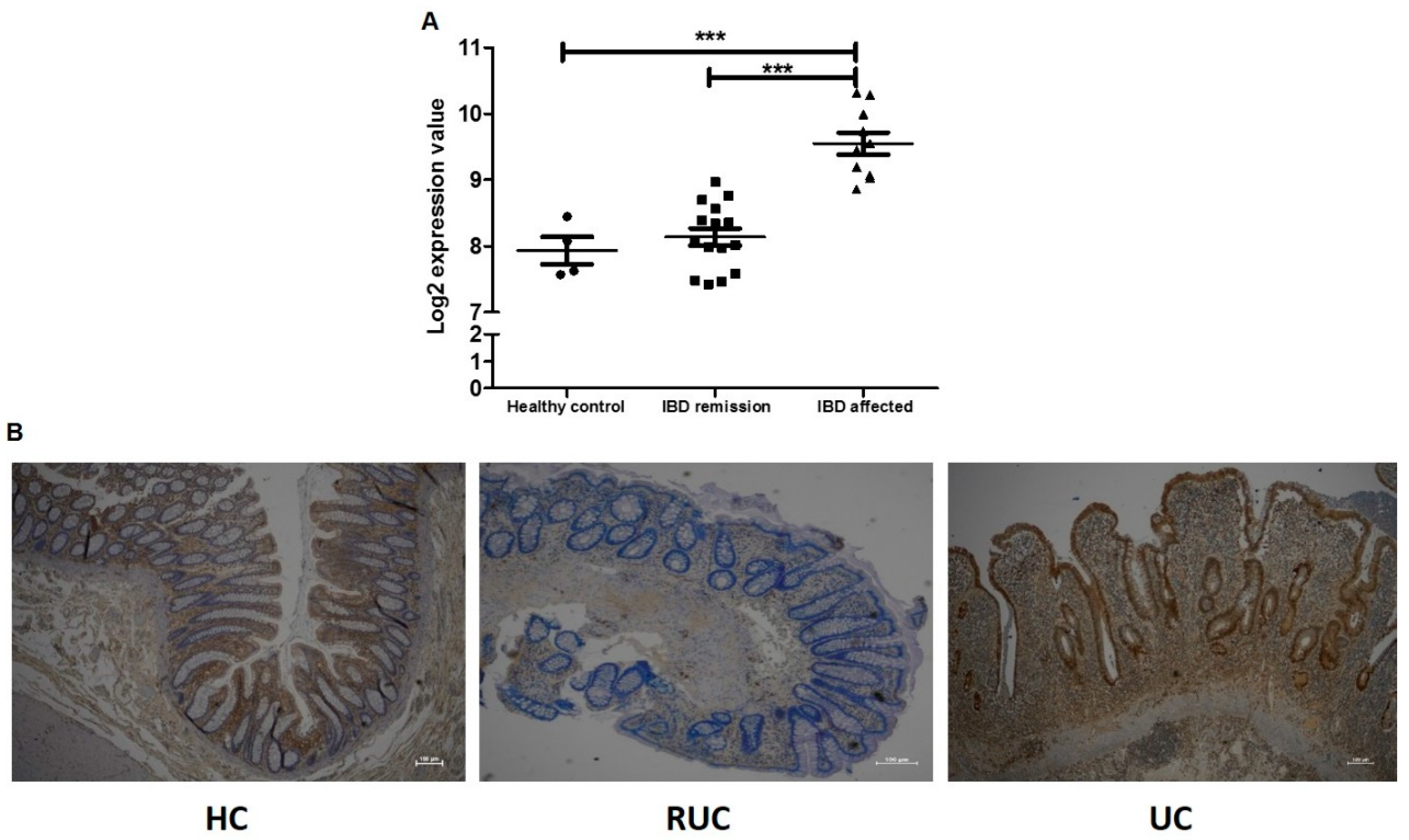 Ijms 23 13771 g006 Ijms 23 13771 g006