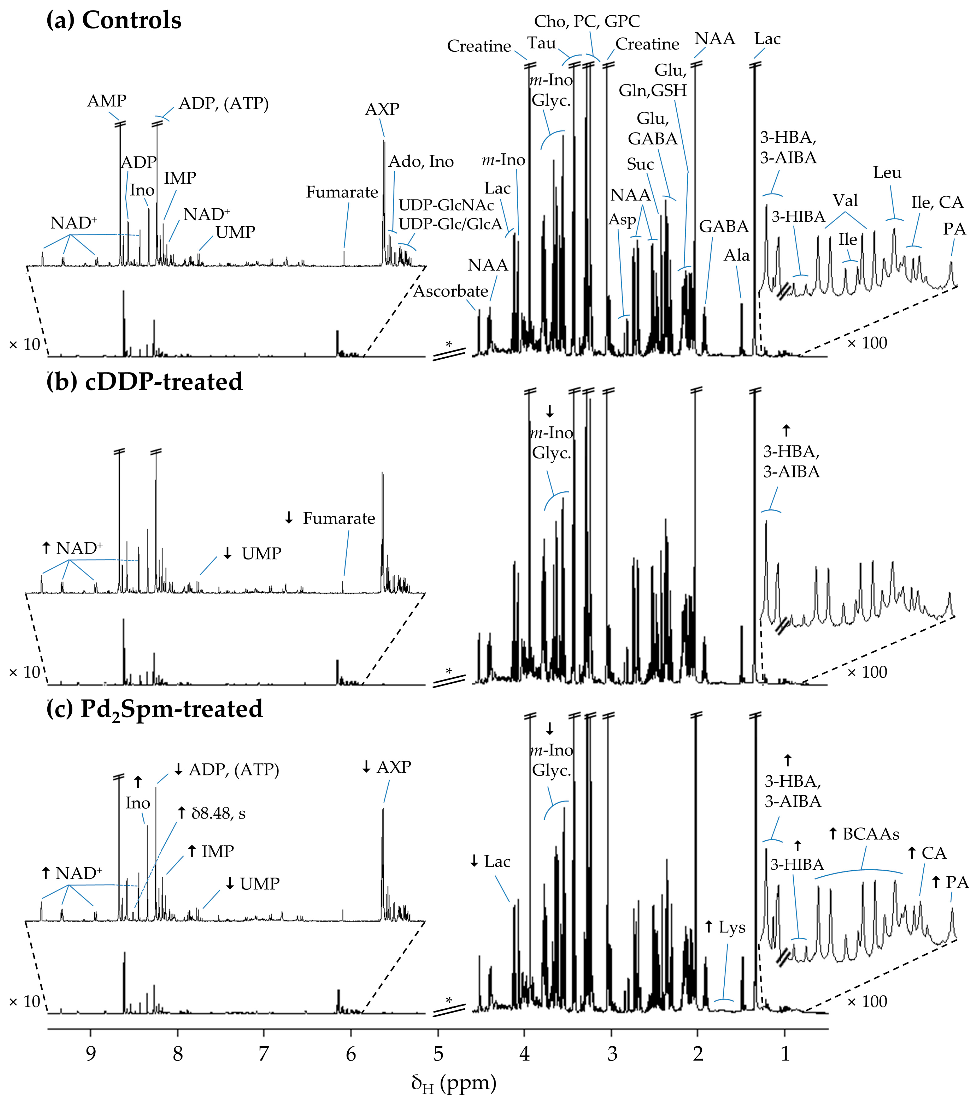 Ijms 23 13773 g001 Ijms 23 13773 g001