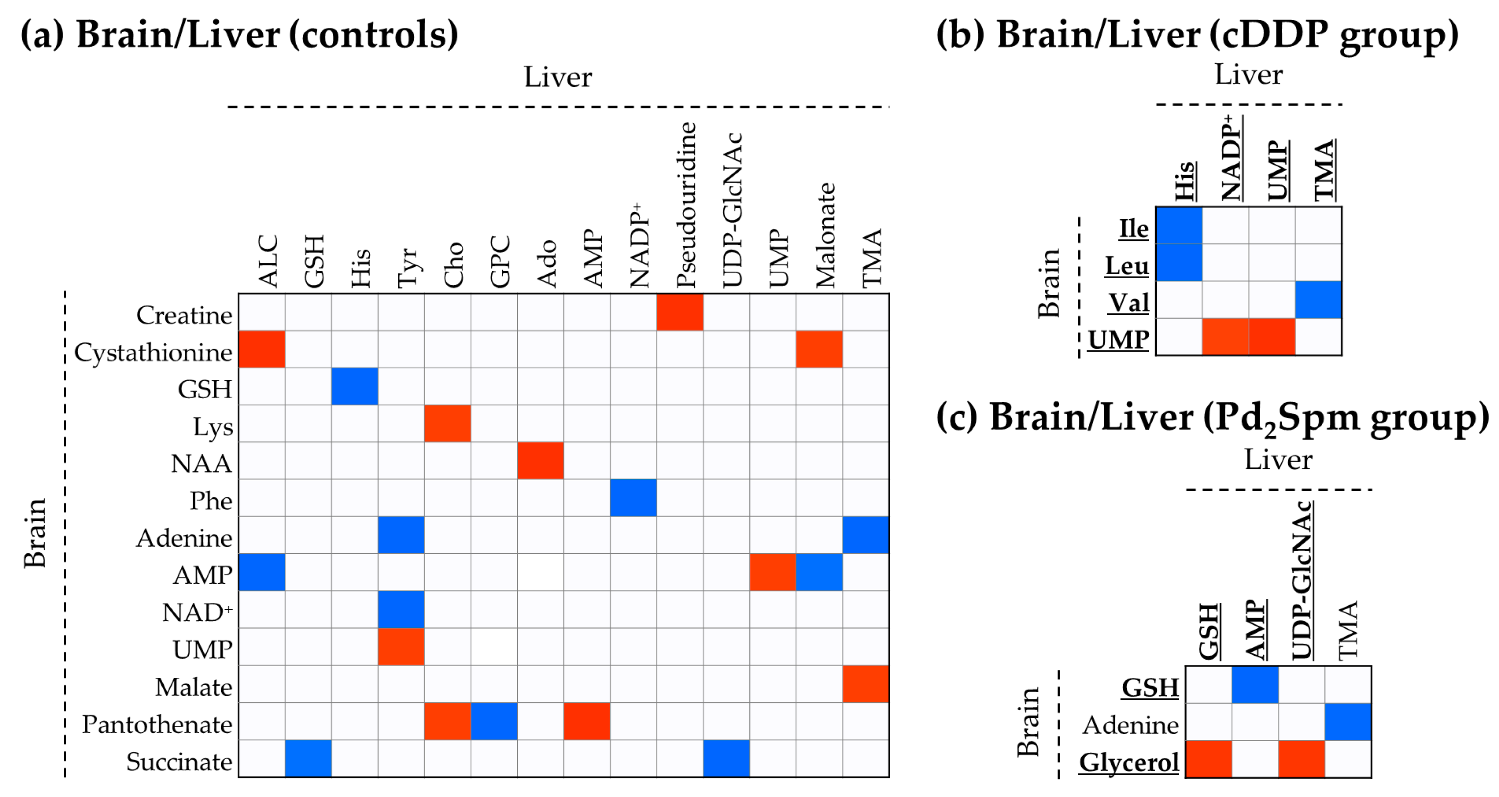 Ijms 23 13773 g006 Ijms 23 13773 g006