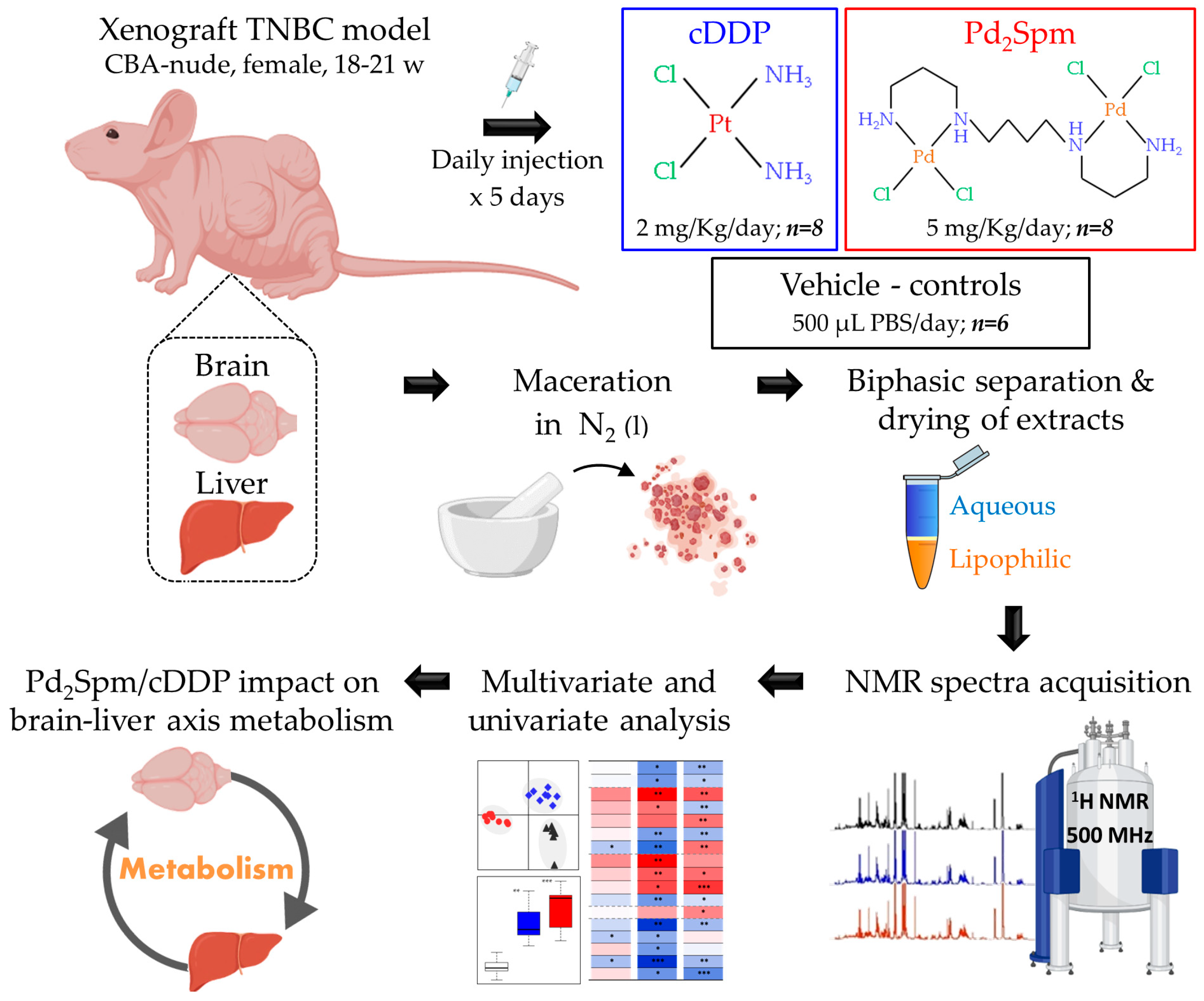 Ijms 23 13773 g0a1 Ijms 23 13773 g0a1