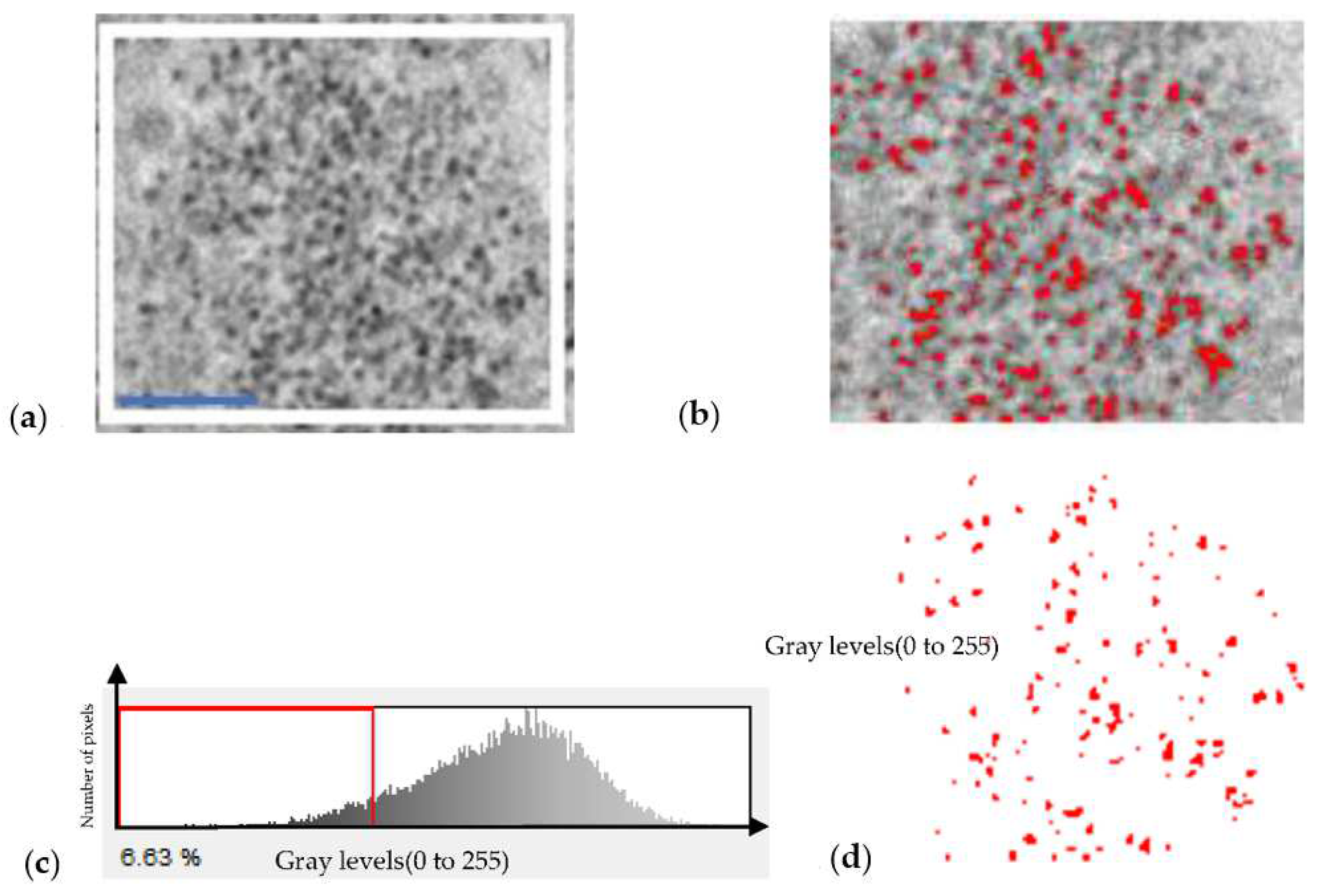 Ijms 23 13801 g002 Ijms 23 13801 g002