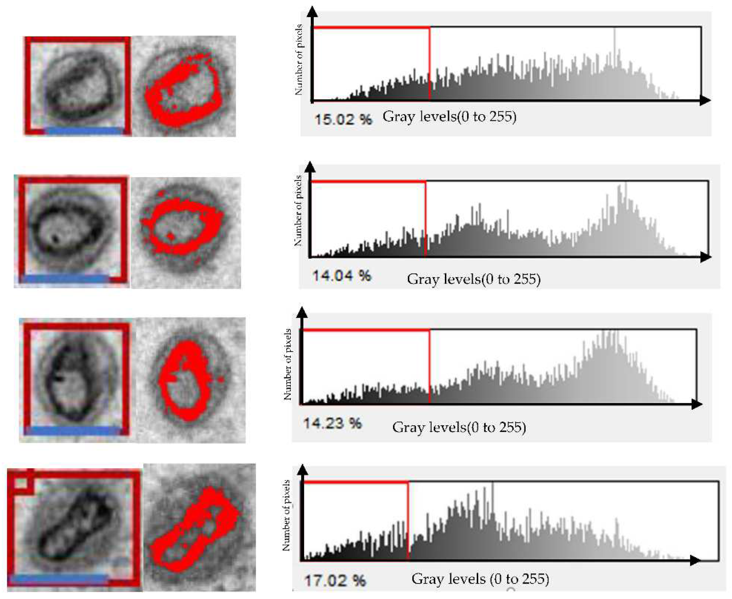 Ijms 23 13801 g003 Ijms 23 13801 g003
