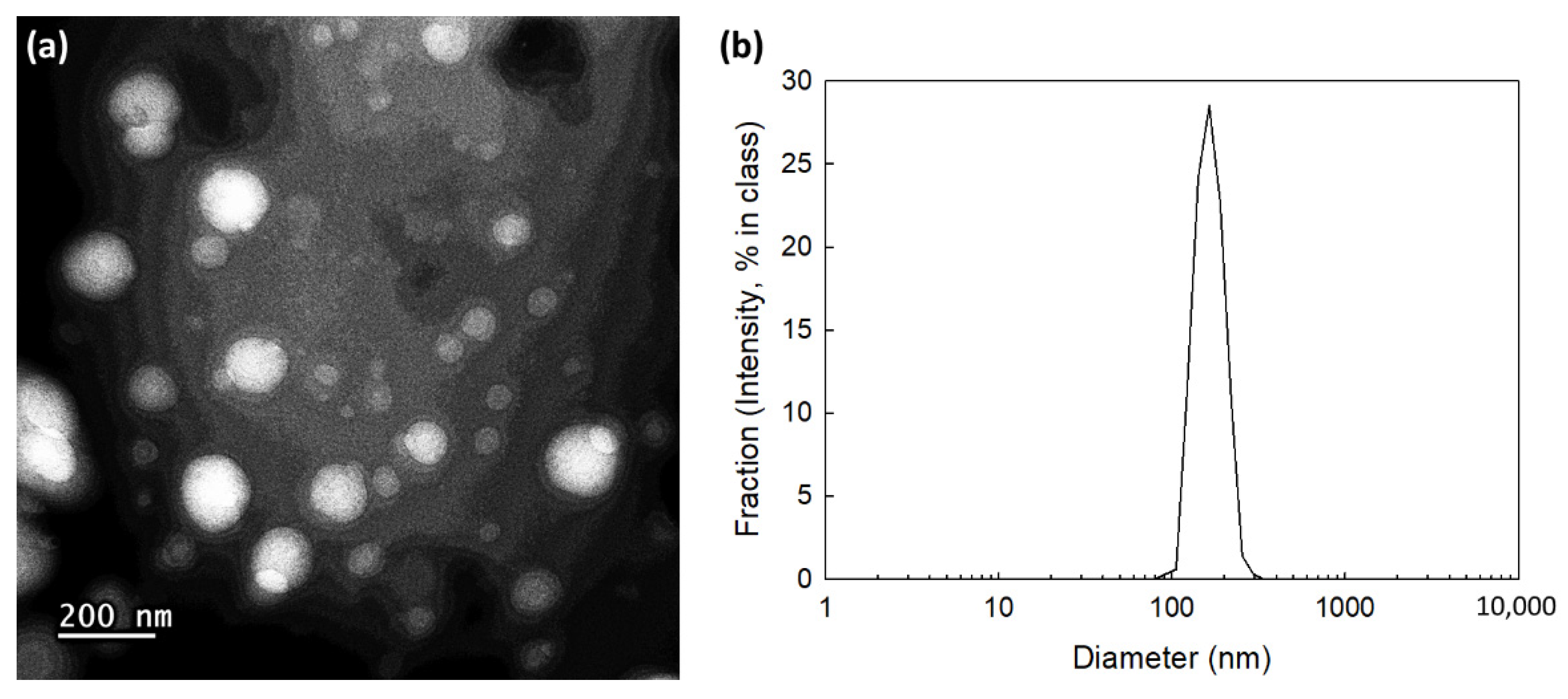 Ijms 23 13802 g002 Ijms 23 13802 g002