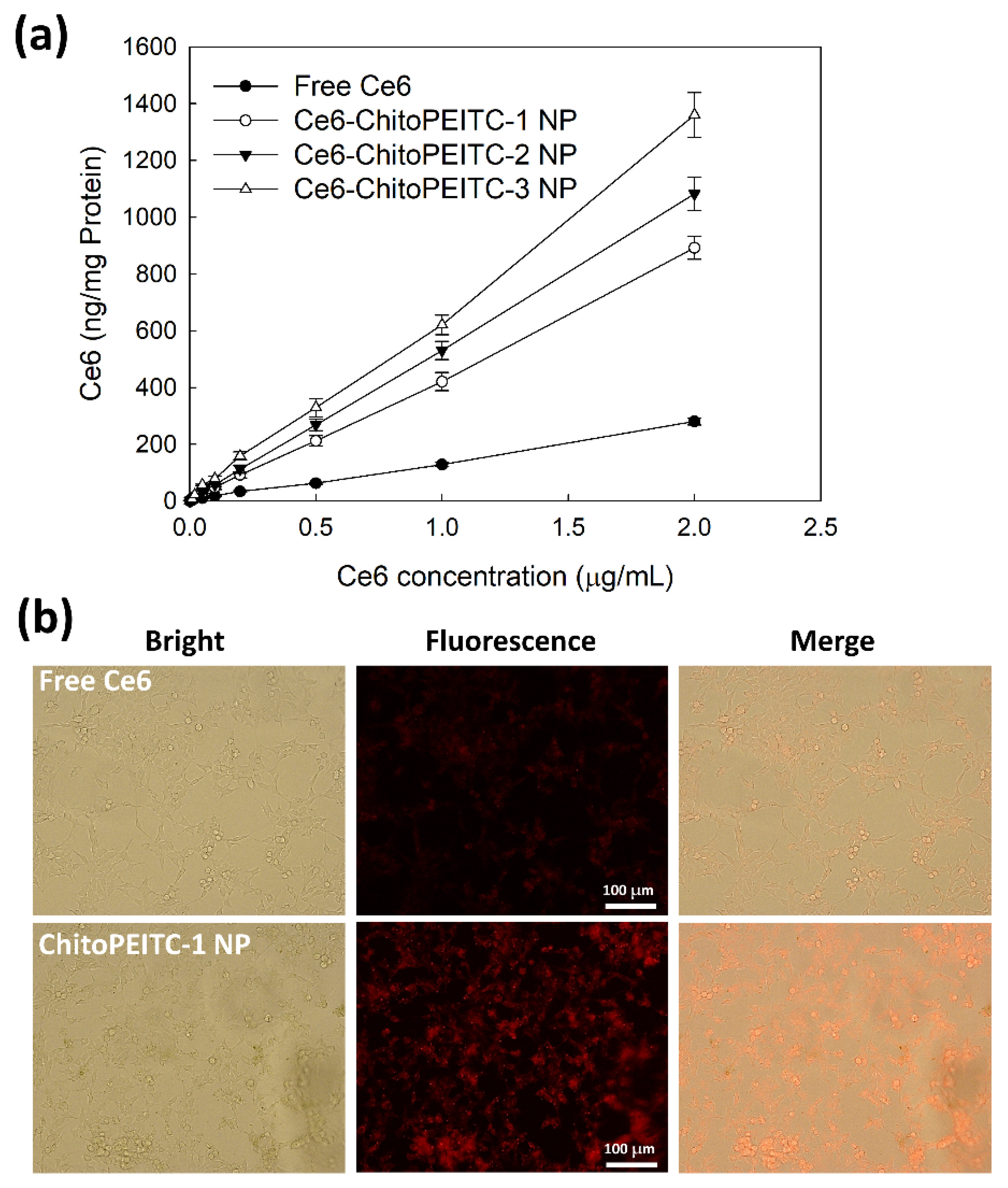 Ijms 23 13802 g007 Ijms 23 13802 g007