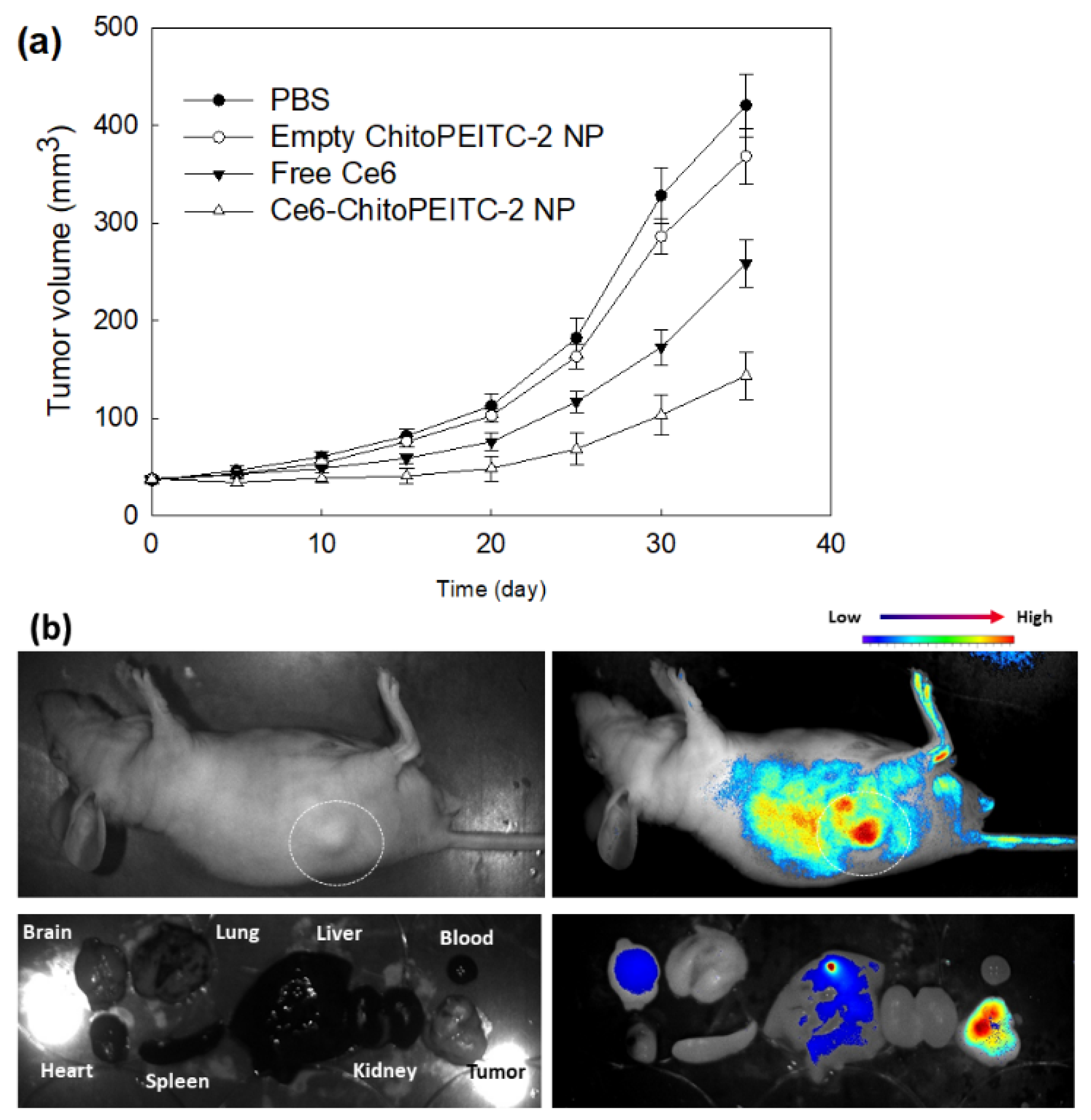 Ijms 23 13802 g010 Ijms 23 13802 g010