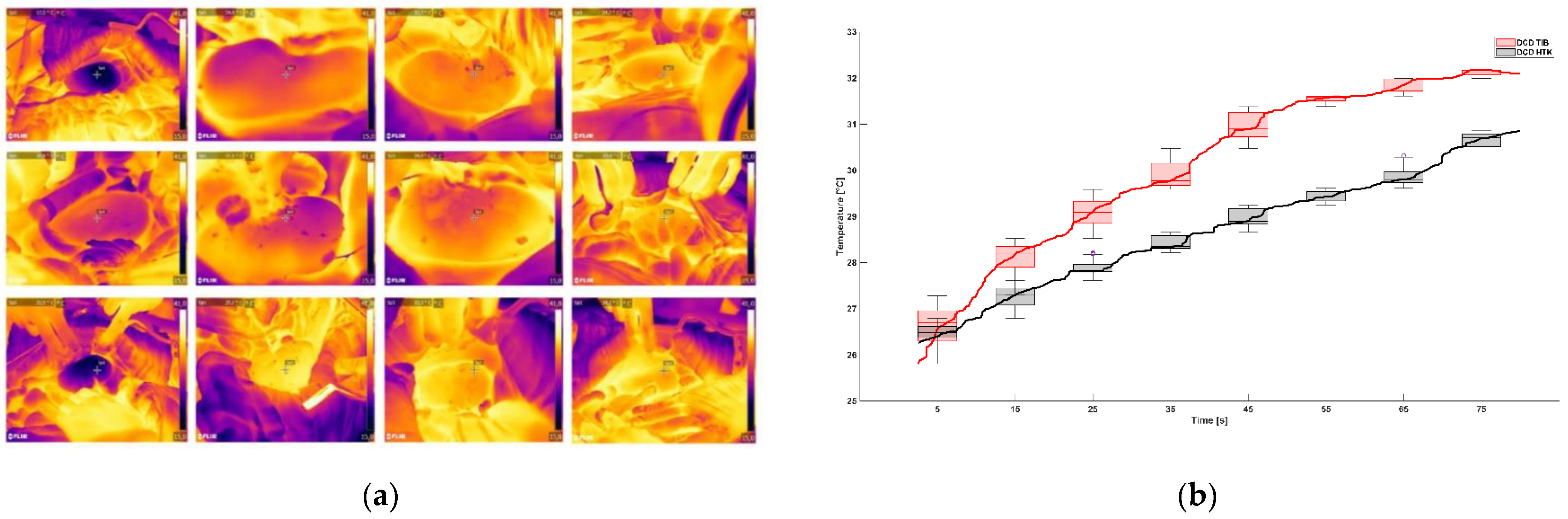 Ijms 23 13806 g004 Ijms 23 13806 g004