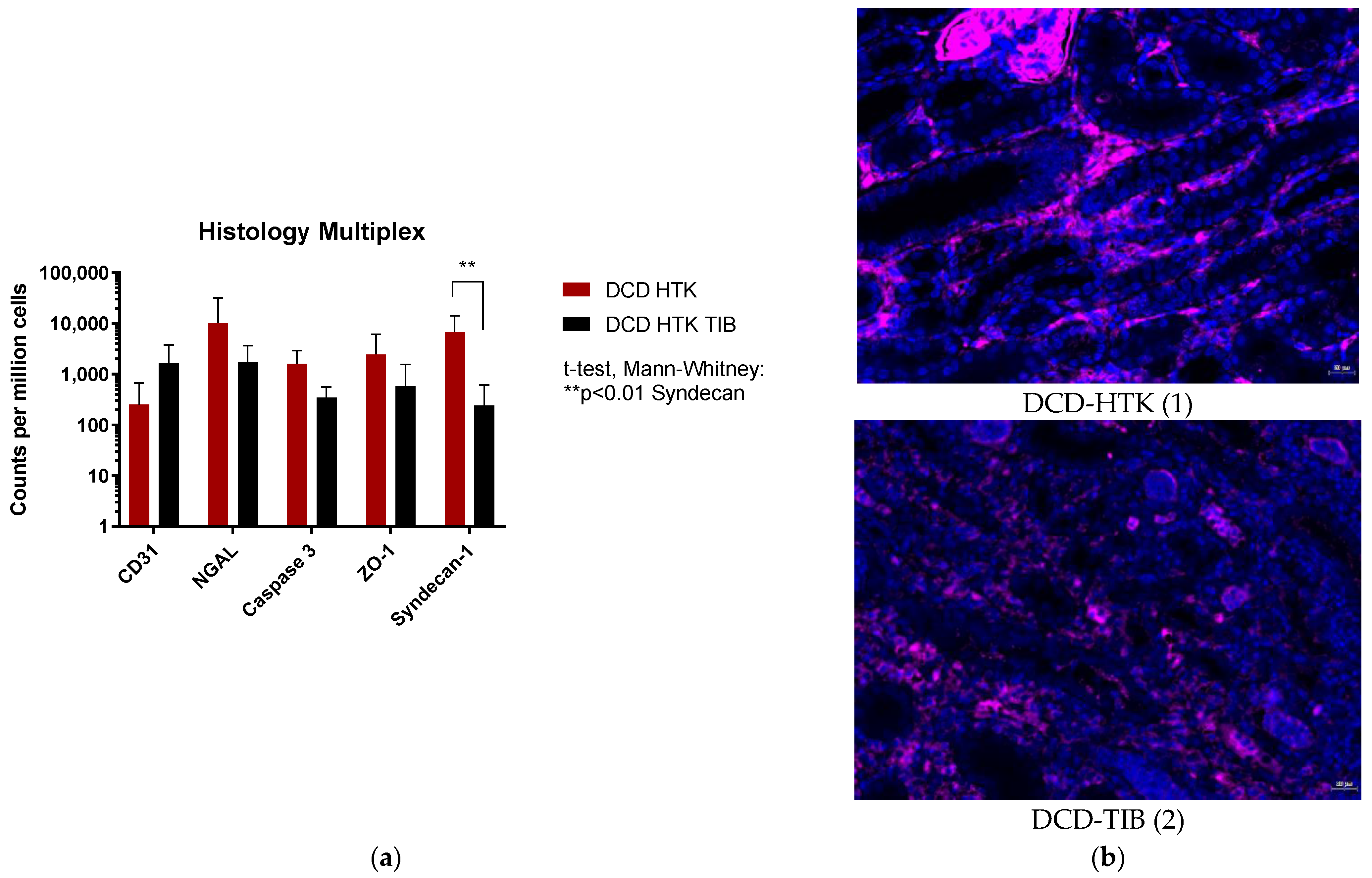 Ijms 23 13806 g006 Ijms 23 13806 g006