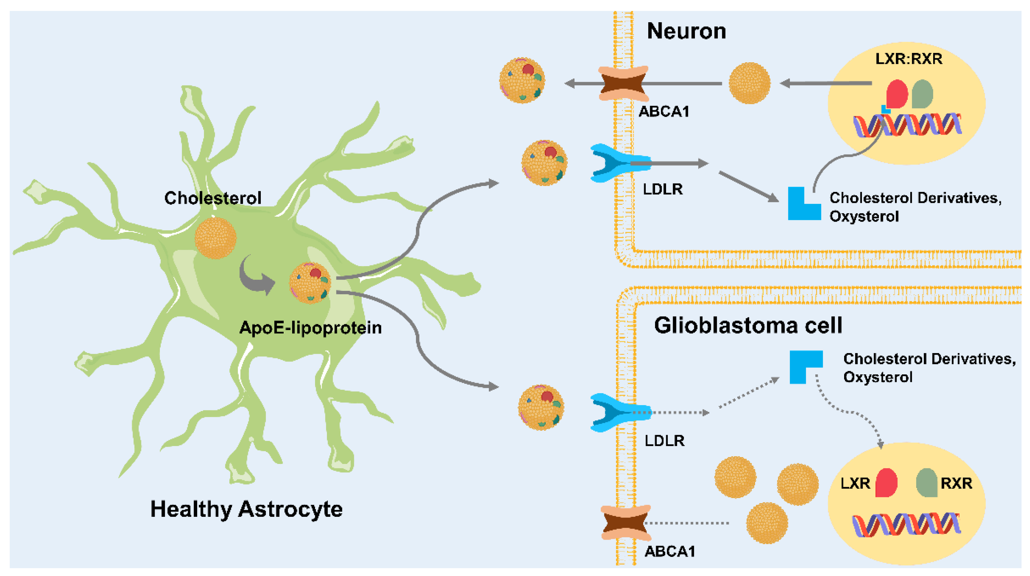 Ijms 23 13818 g001 Ijms 23 13818 g001