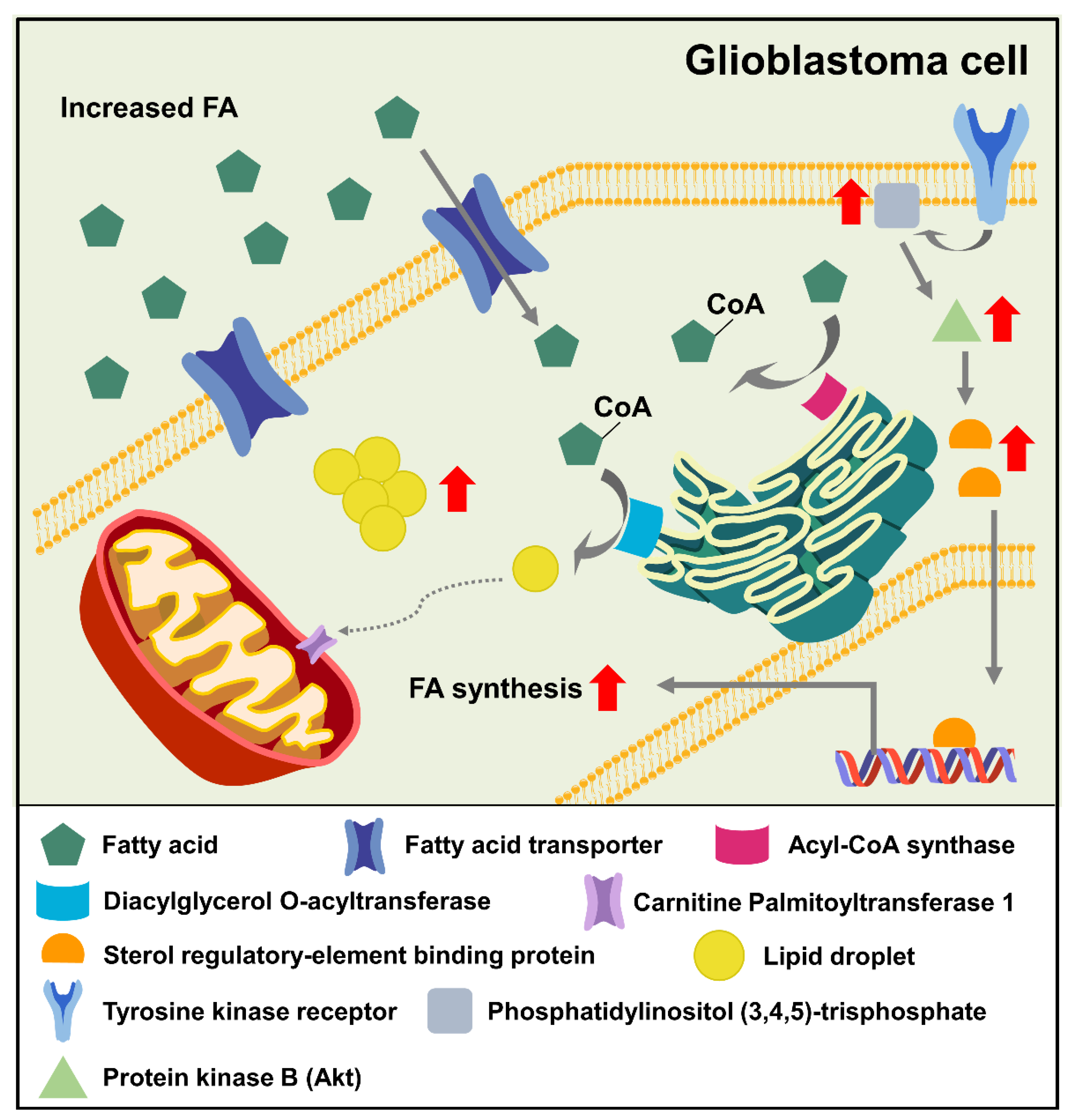 Ijms 23 13818 g002 Ijms 23 13818 g002