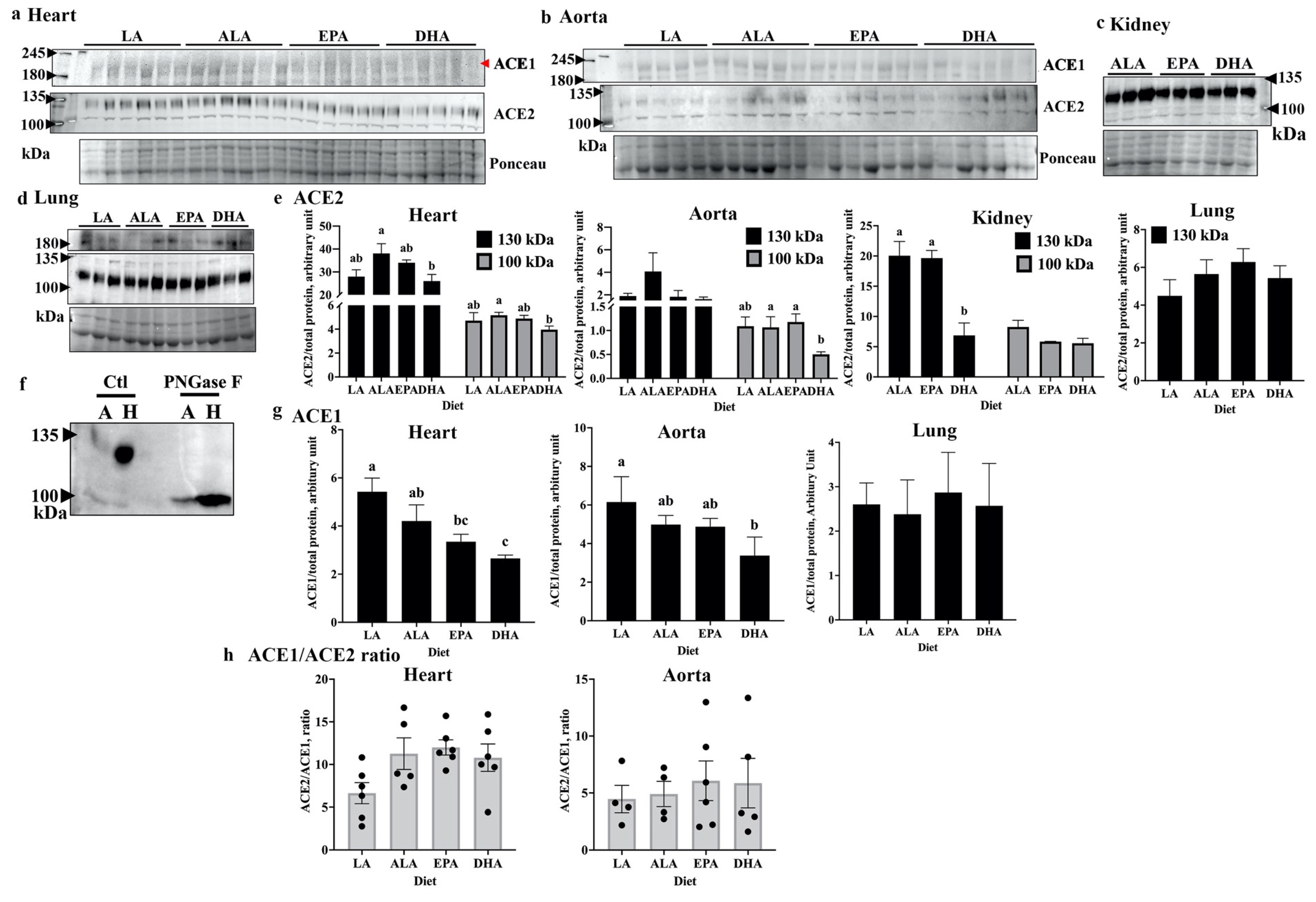 Ijms 23 13825 g001 Ijms 23 13825 g001
