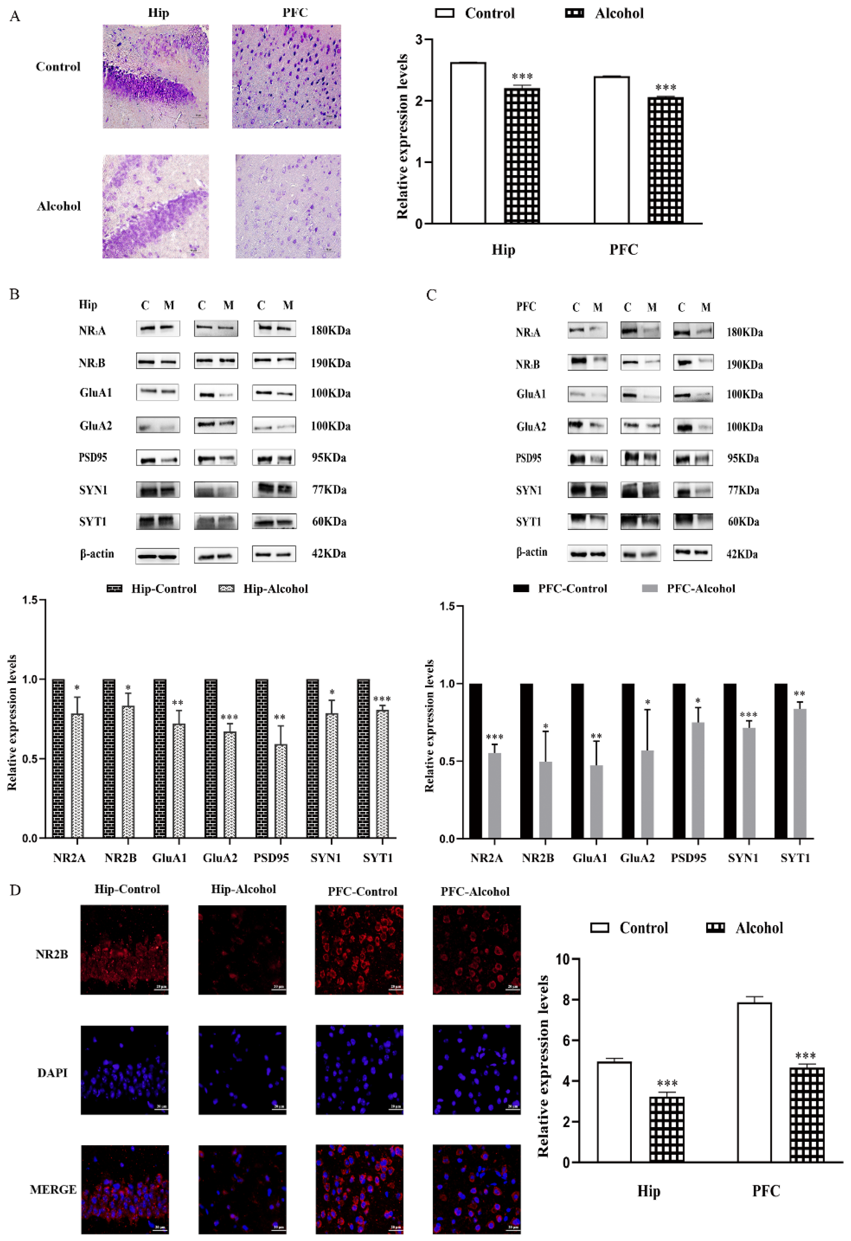 Ijms 23 13828 g003 Ijms 23 13828 g003