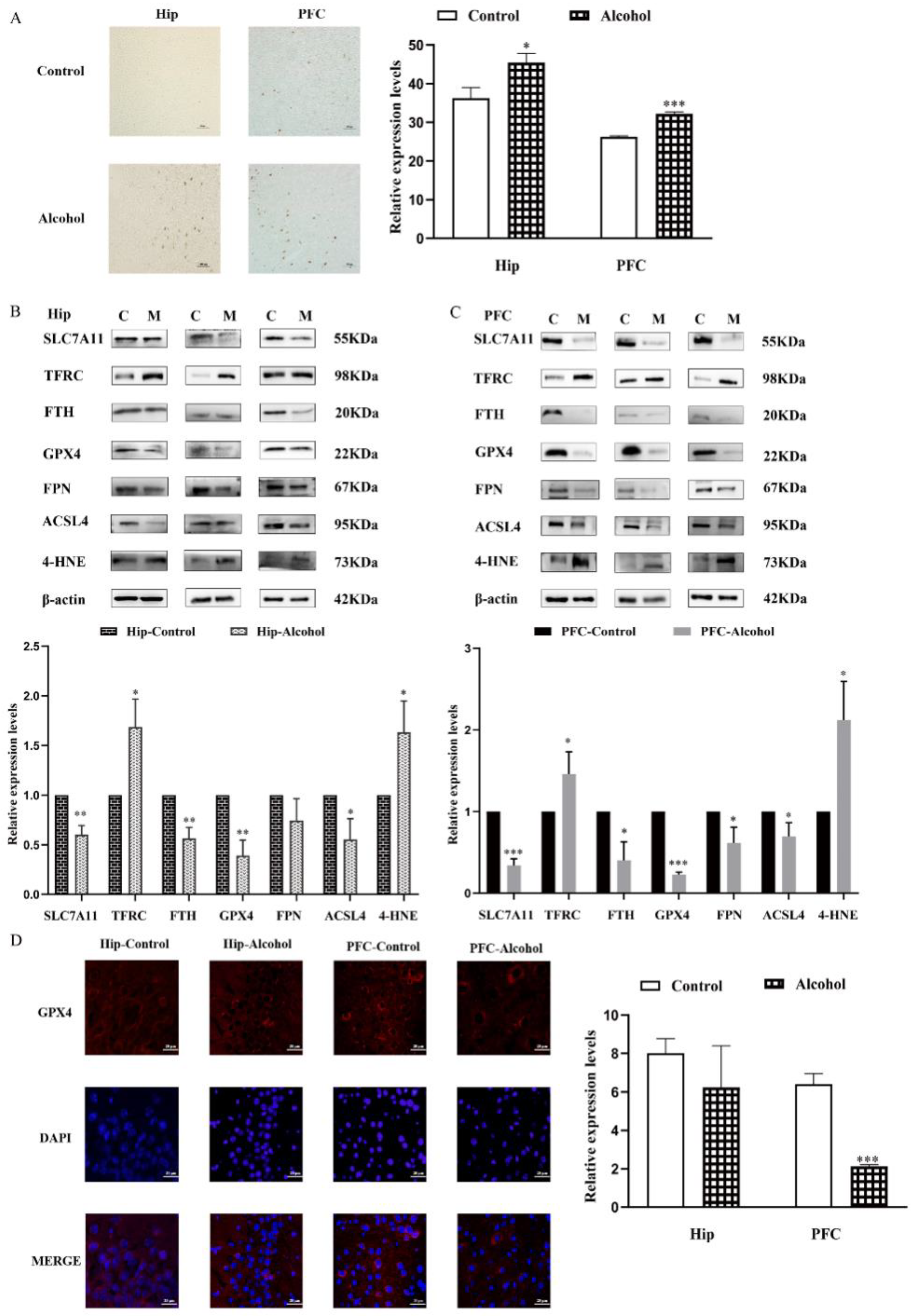 Ijms 23 13828 g004 Ijms 23 13828 g004