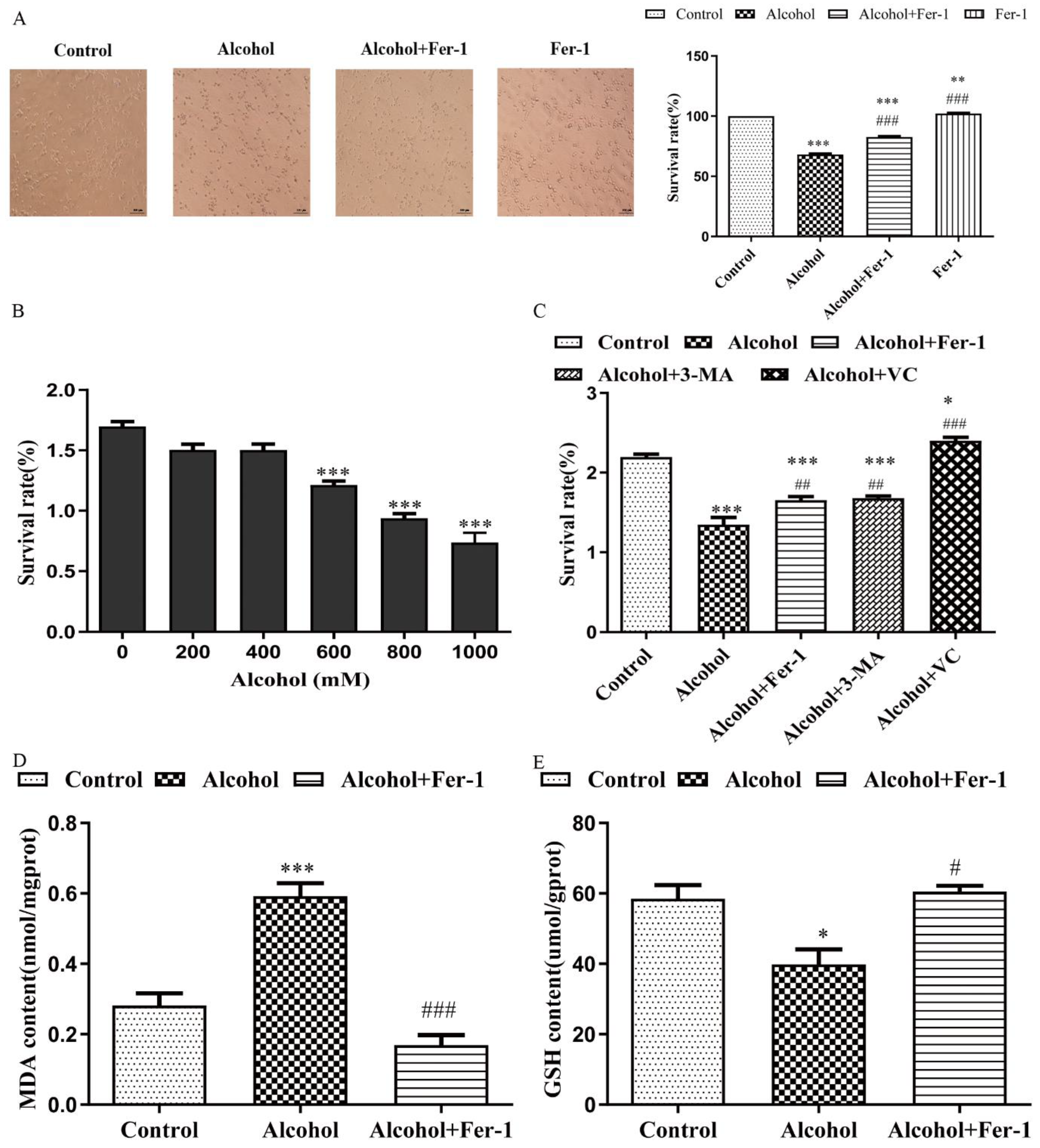 Ijms 23 13828 g005 Ijms 23 13828 g005