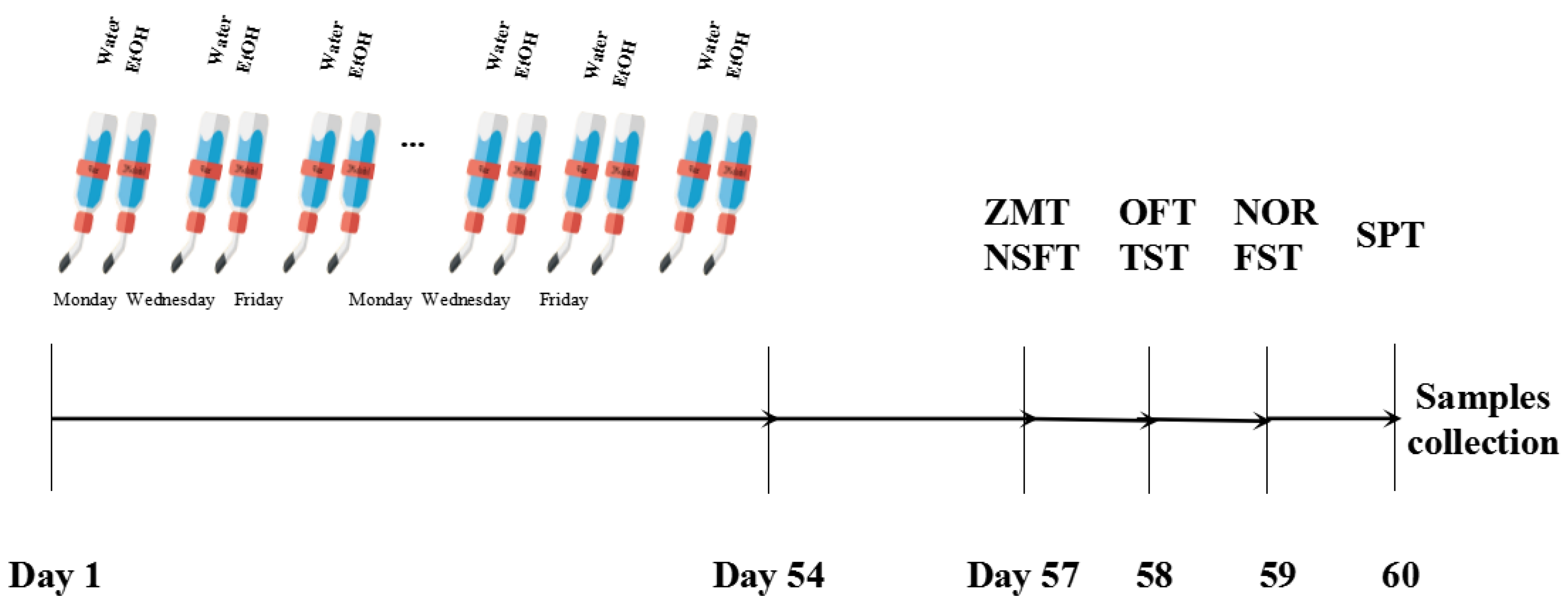 Ijms 23 13828 g009 Ijms 23 13828 g009