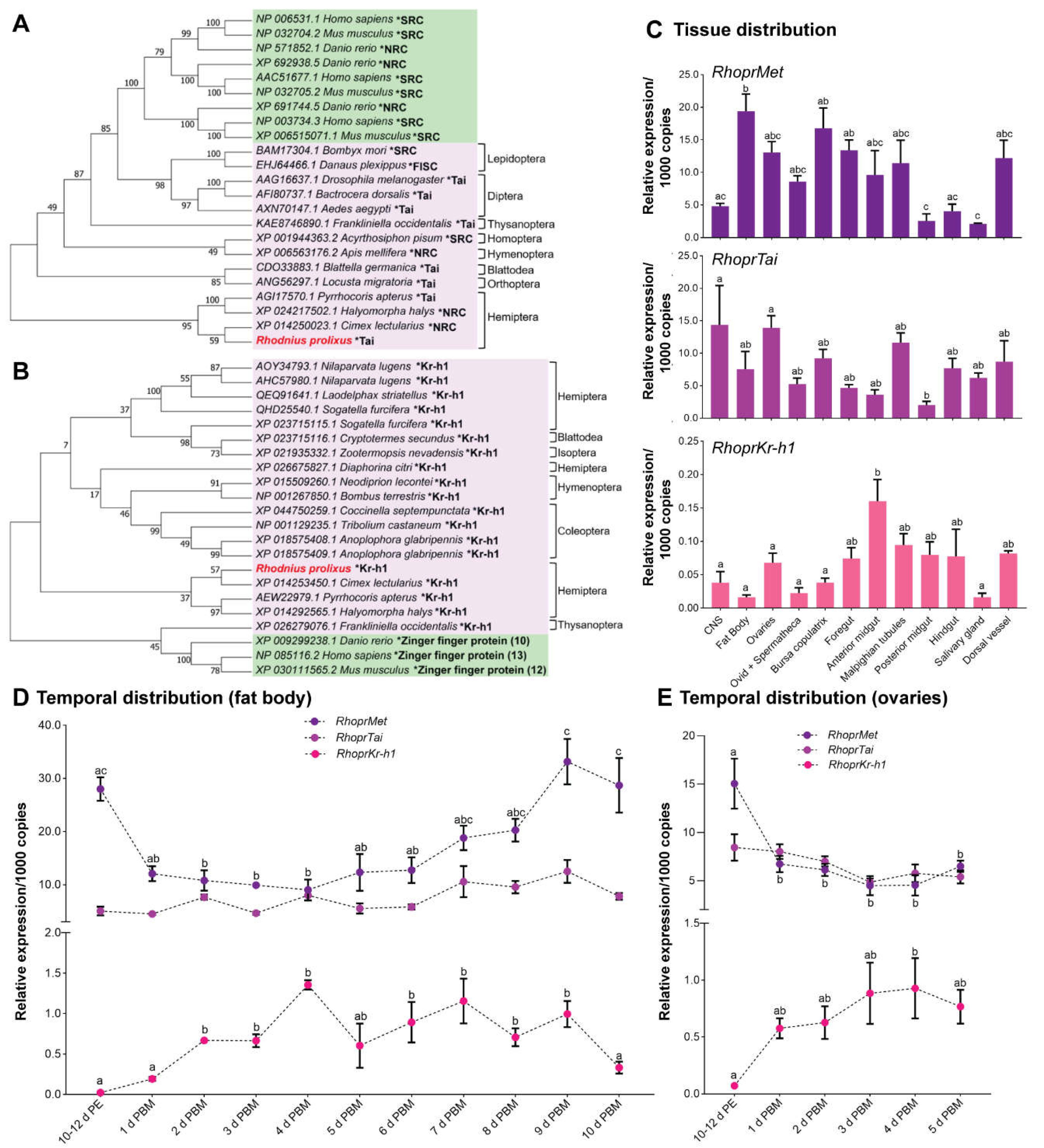 Ijms 23 13832 g001 Ijms 23 13832 g001