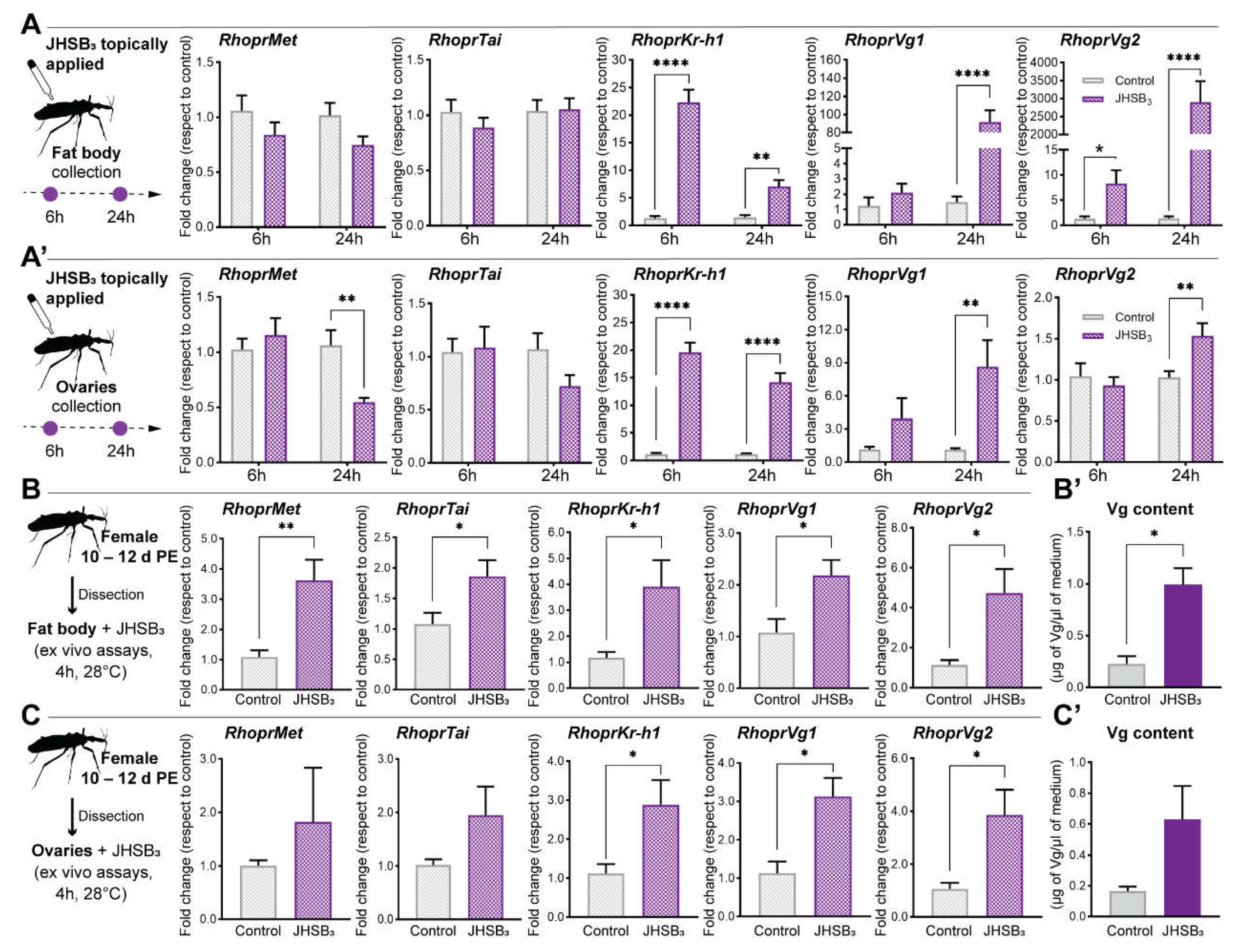 Ijms 23 13832 g002 Ijms 23 13832 g002