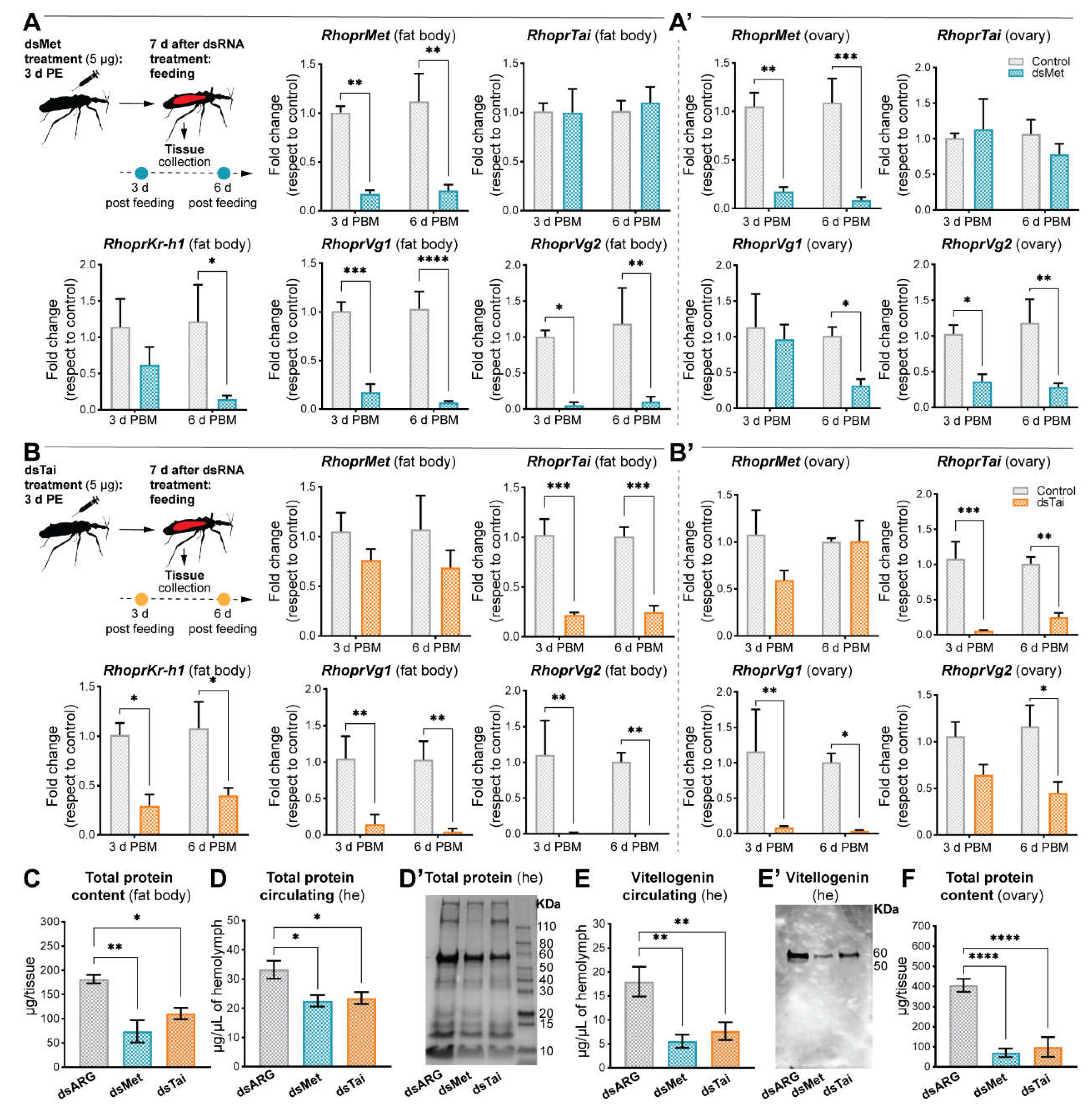 Ijms 23 13832 g003 Ijms 23 13832 g003