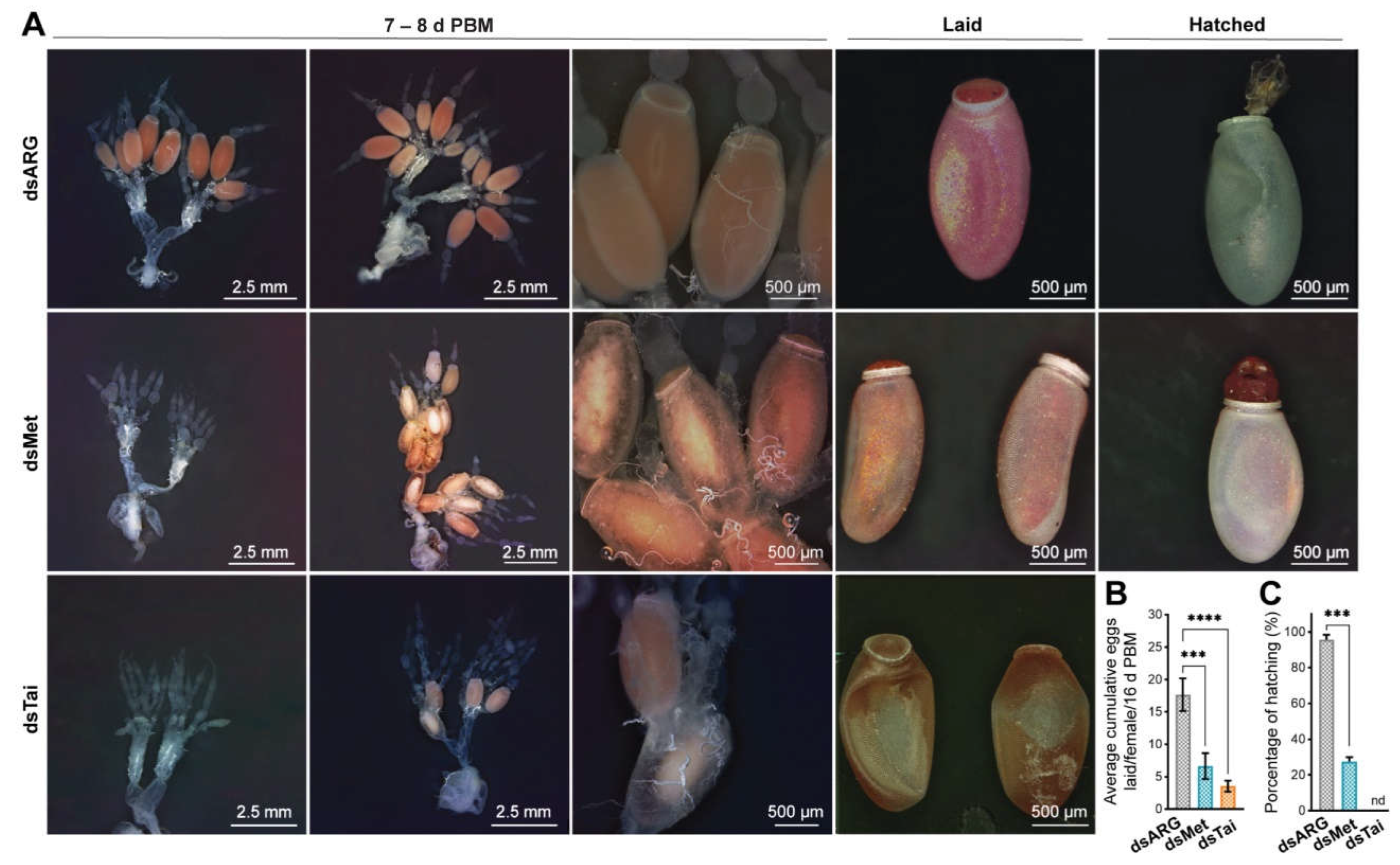 Ijms 23 13832 g004 Ijms 23 13832 g004