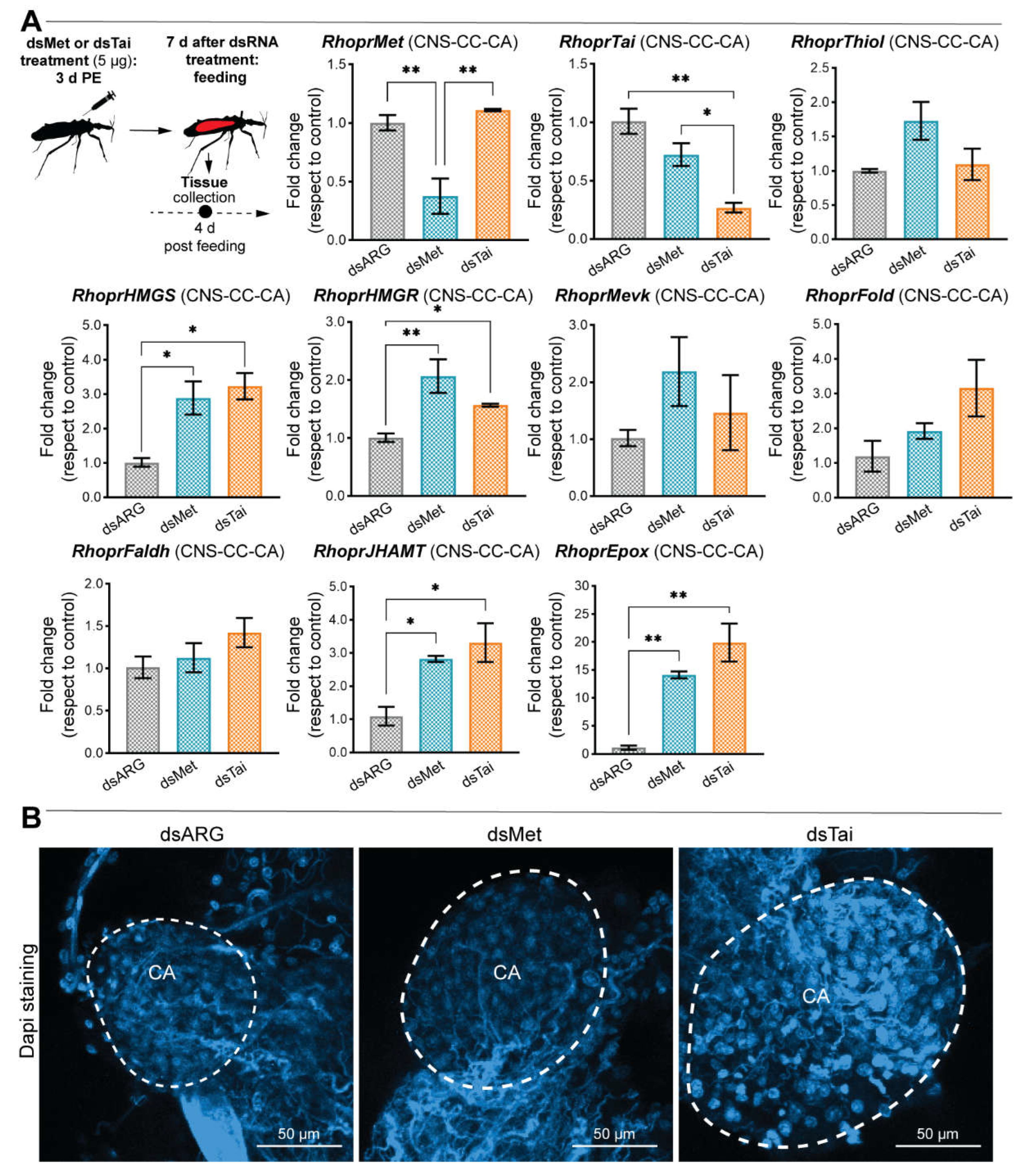 Ijms 23 13832 g005 Ijms 23 13832 g005
