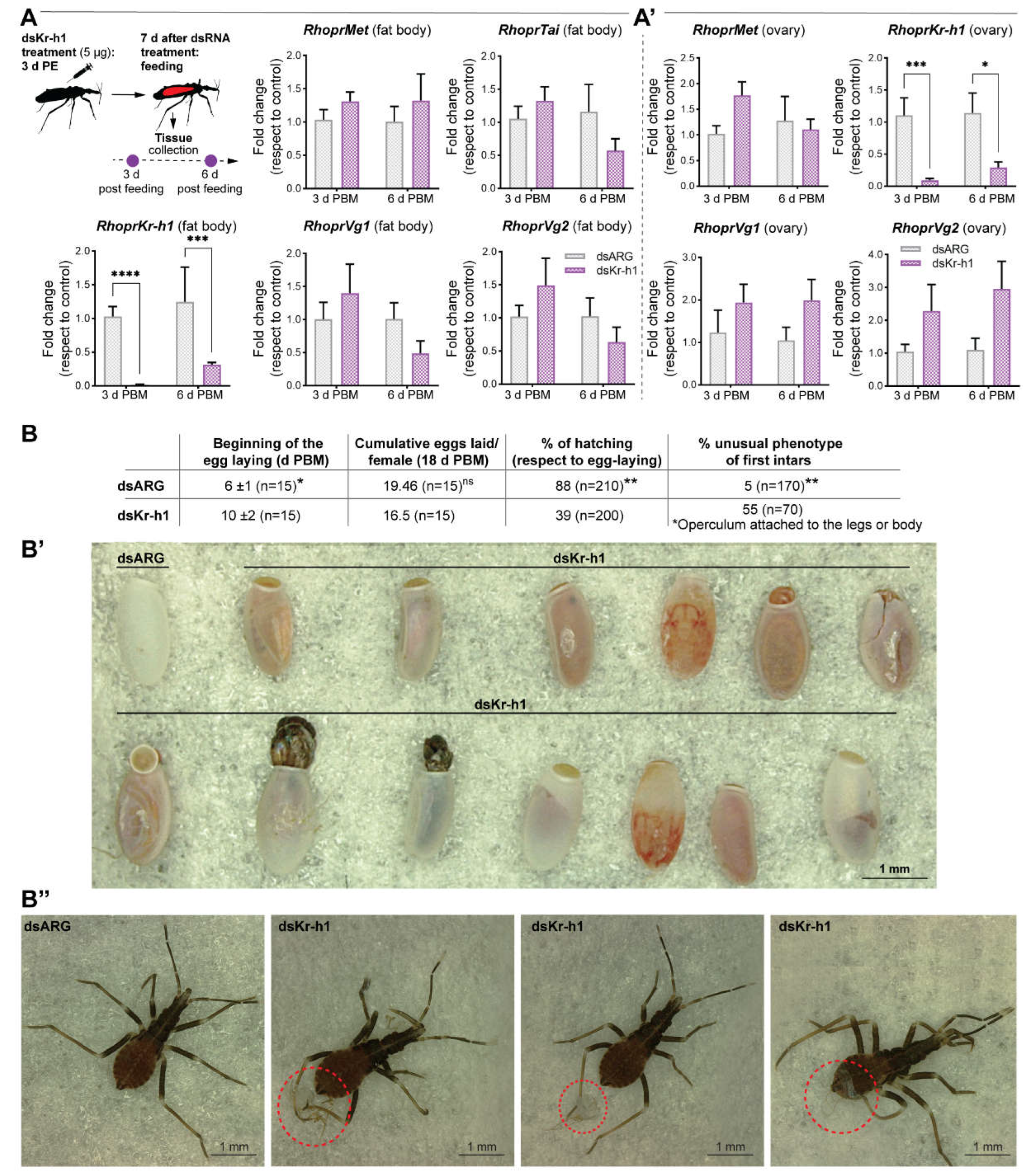Ijms 23 13832 g006 Ijms 23 13832 g006