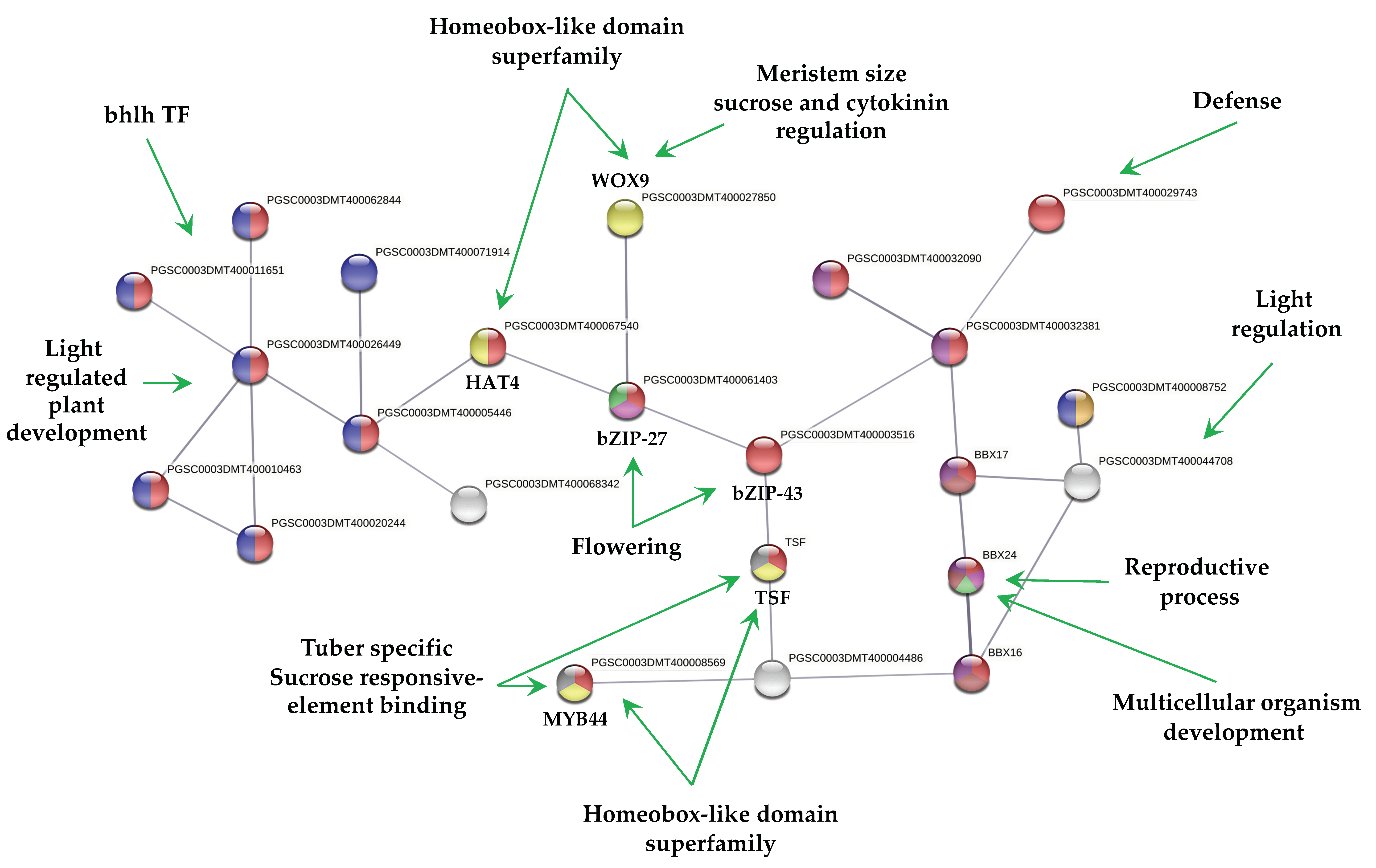 Ijms 23 13835 g003 Ijms 23 13835 g003