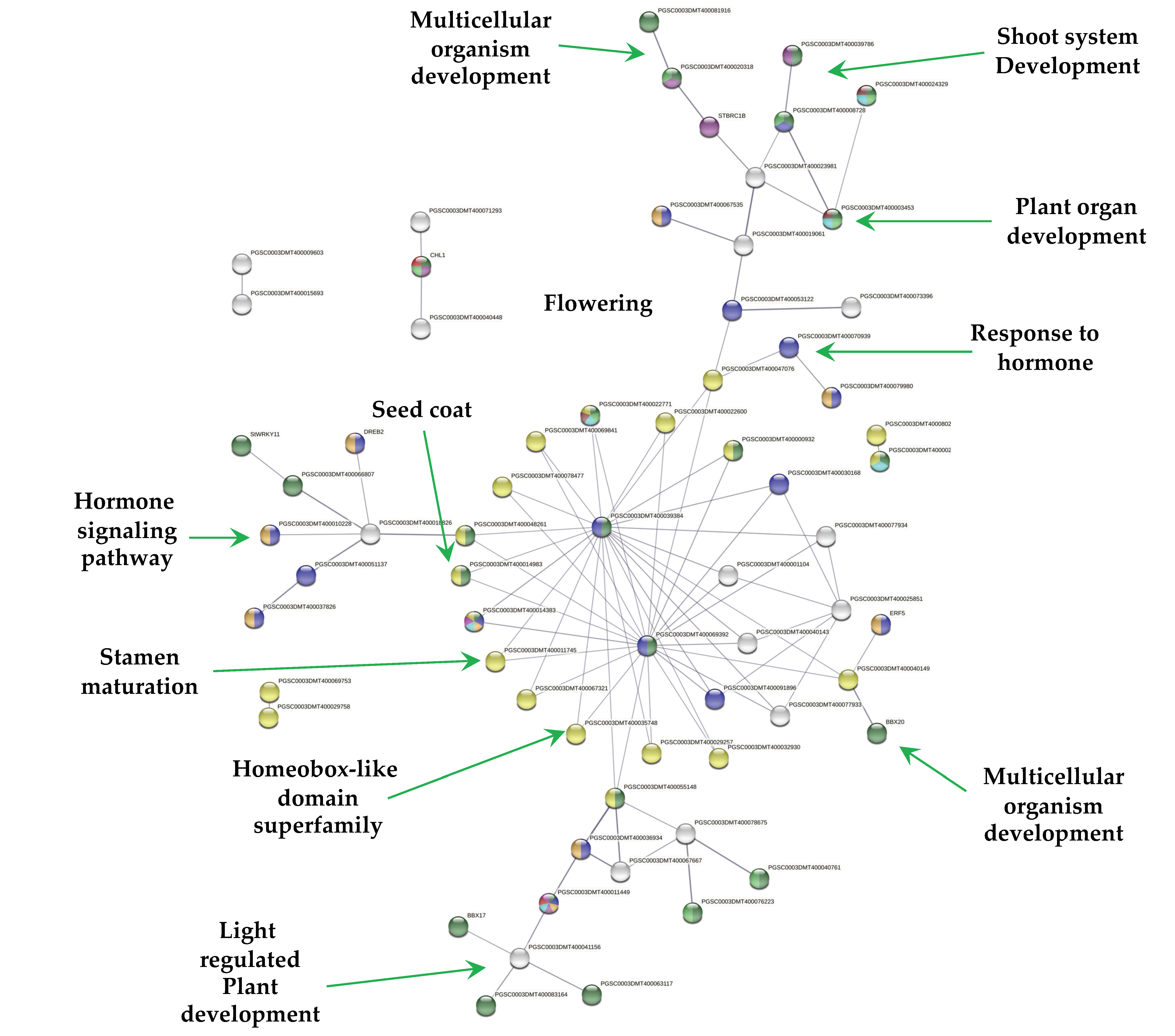 Ijms 23 13835 g005 Ijms 23 13835 g005