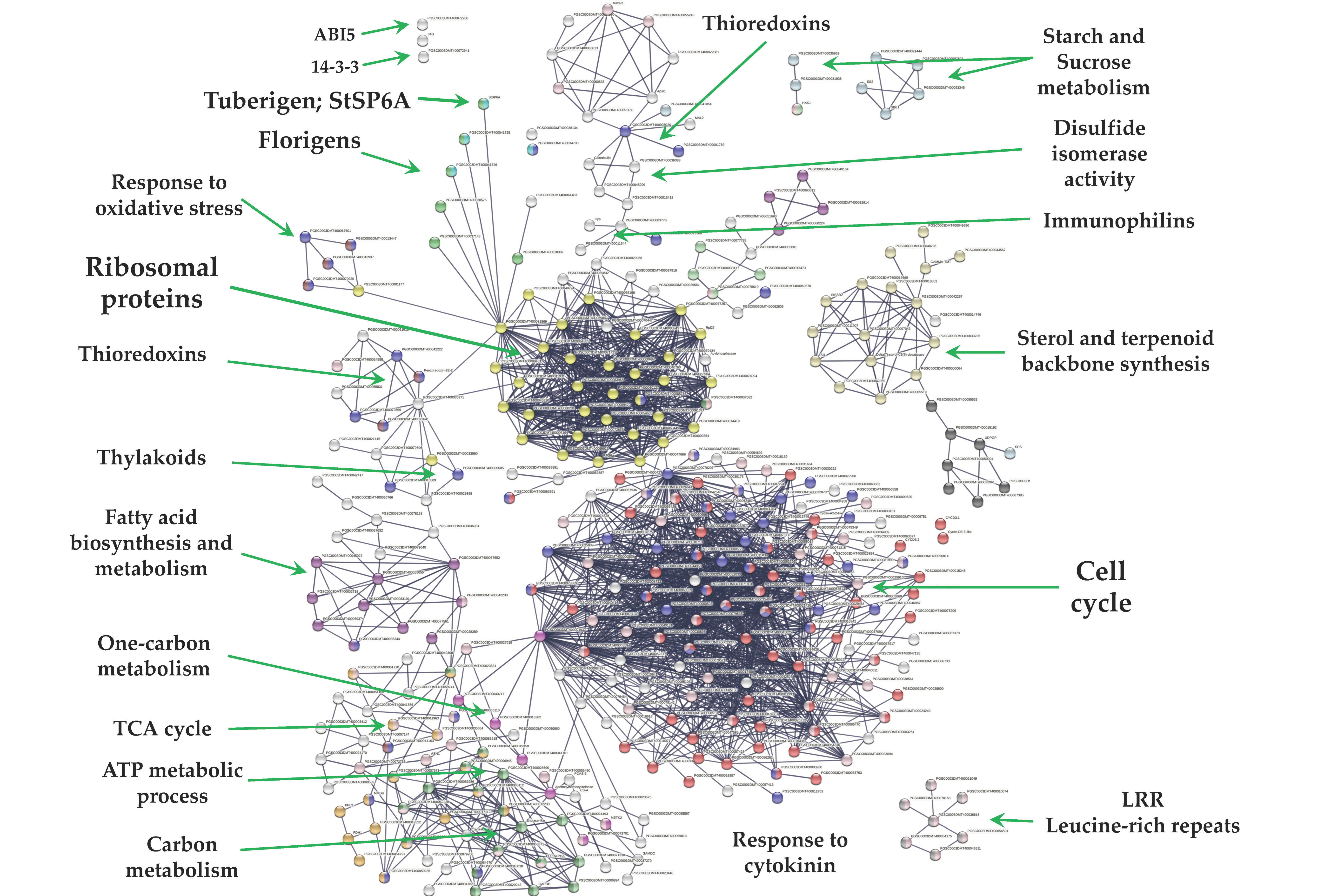 Ijms 23 13835 g006 Ijms 23 13835 g006