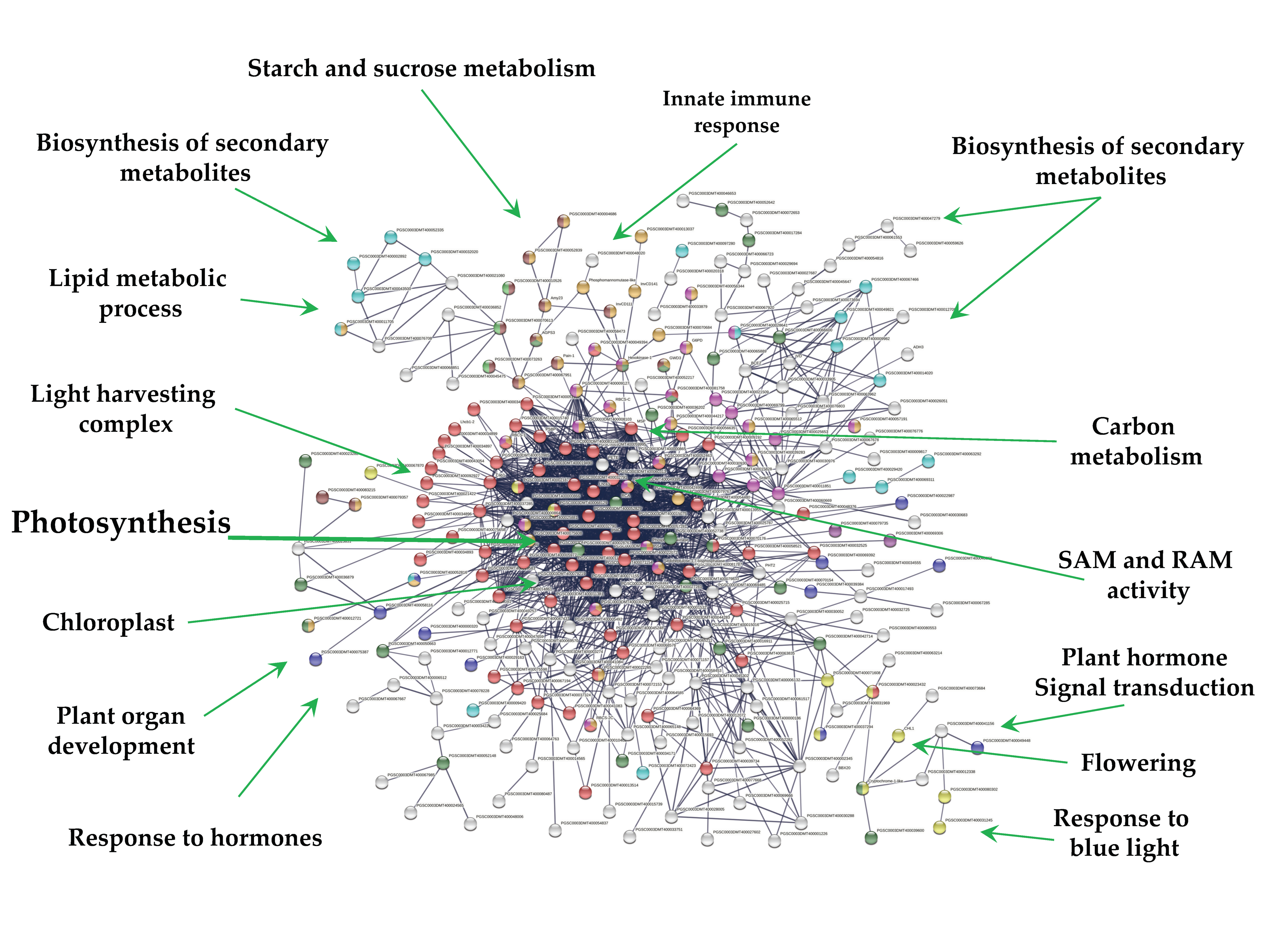 Ijms 23 13835 g007 Ijms 23 13835 g007