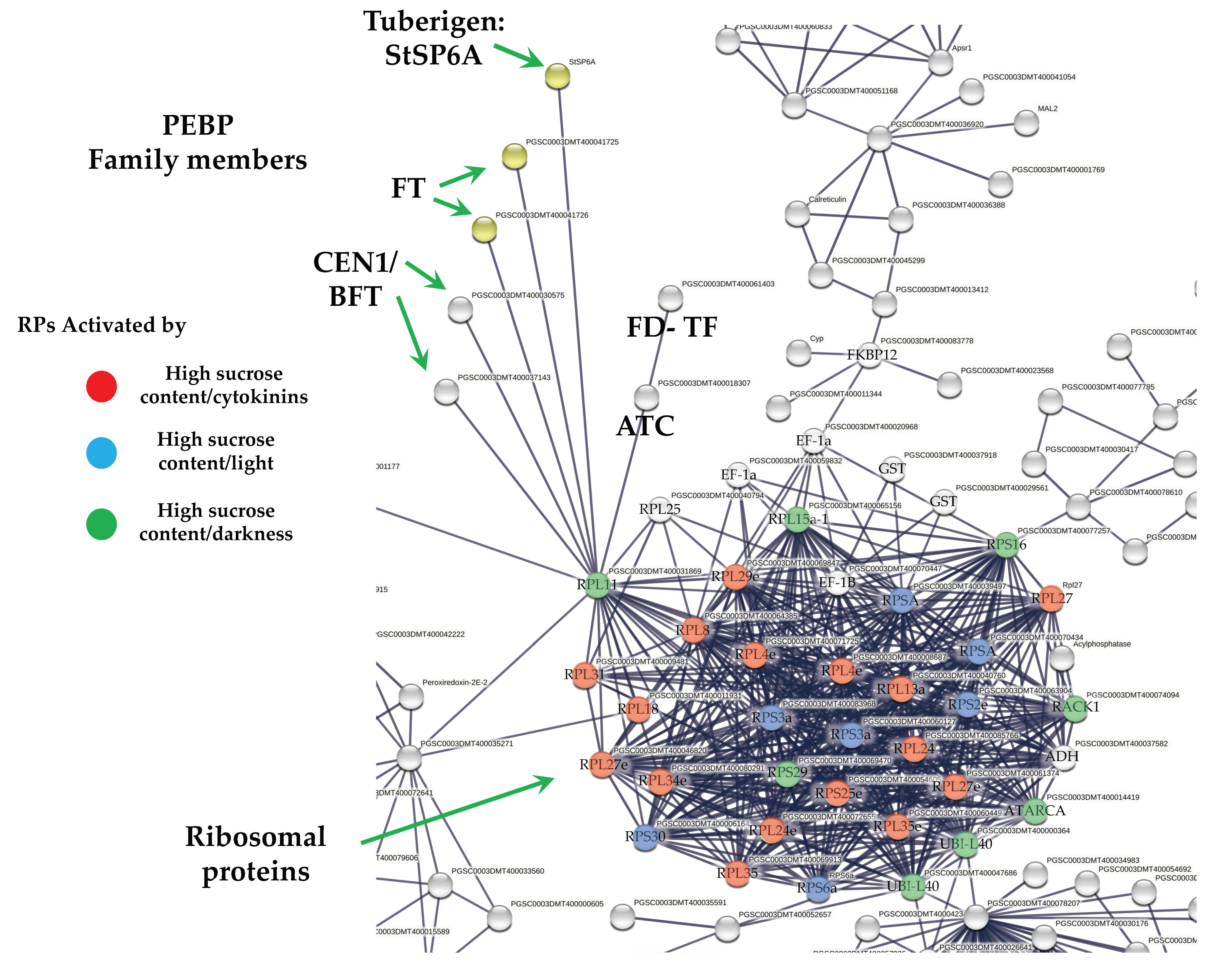 Ijms 23 13835 g008 Ijms 23 13835 g008