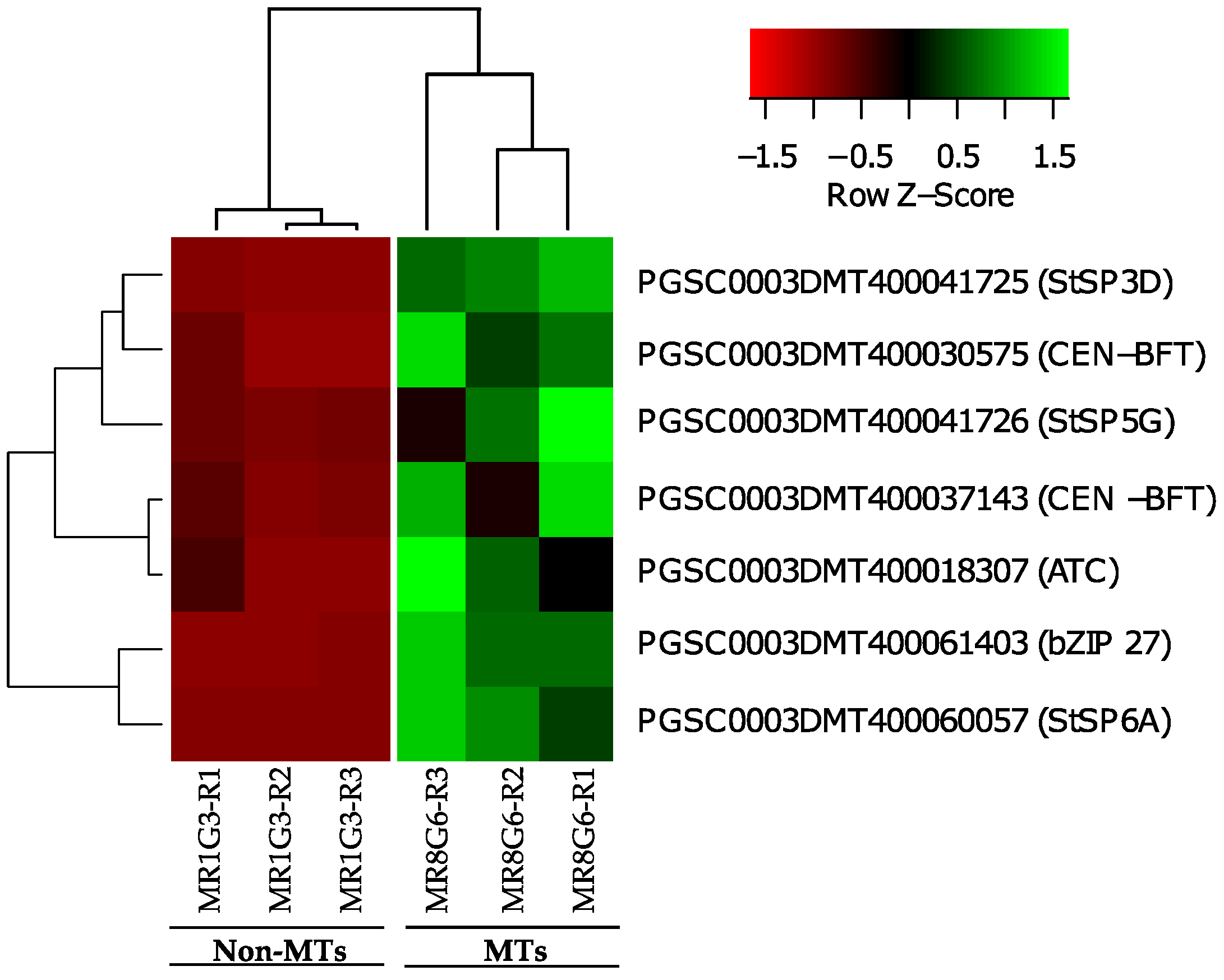 Ijms 23 13835 g009 Ijms 23 13835 g009