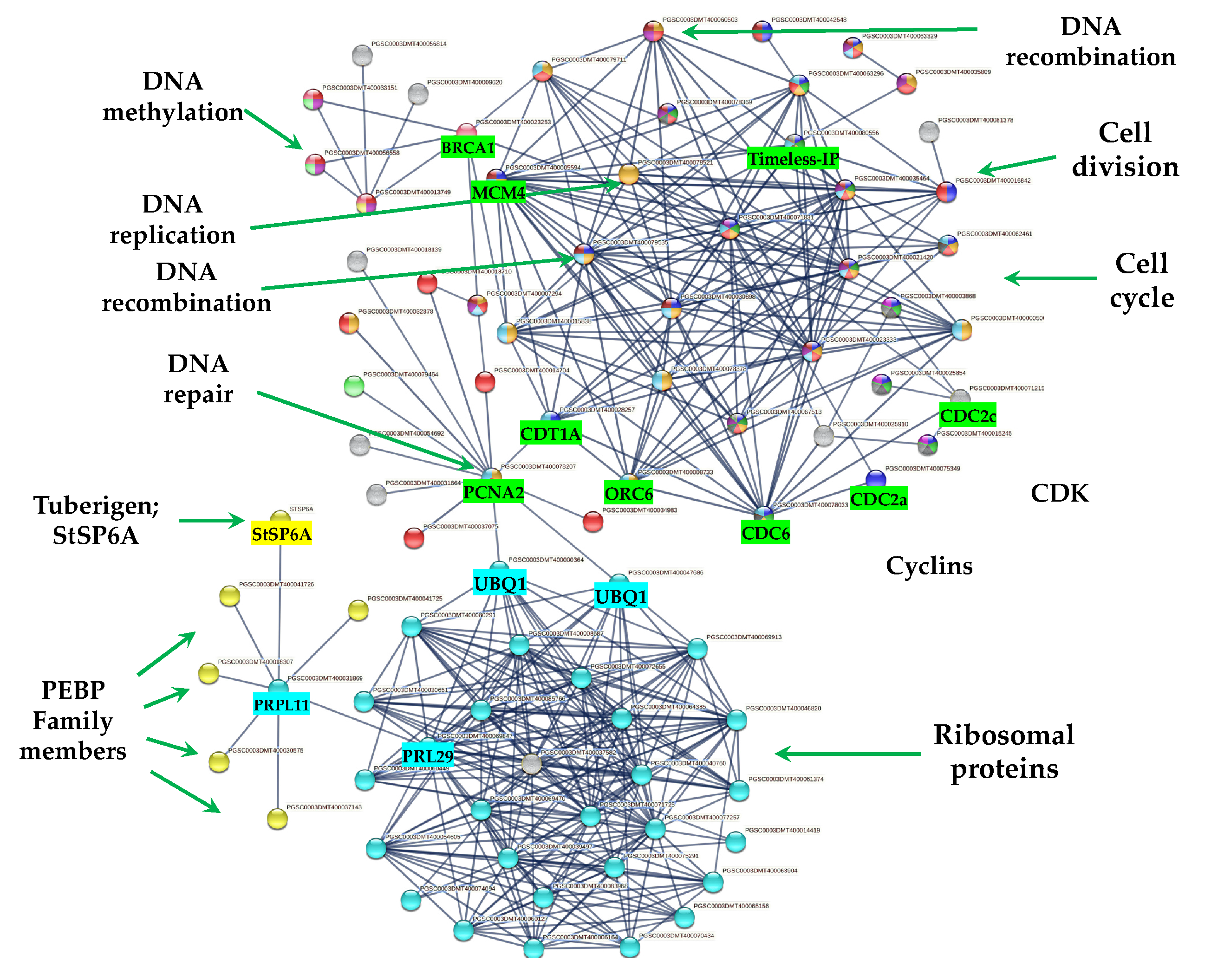 Ijms 23 13835 g011 Ijms 23 13835 g011