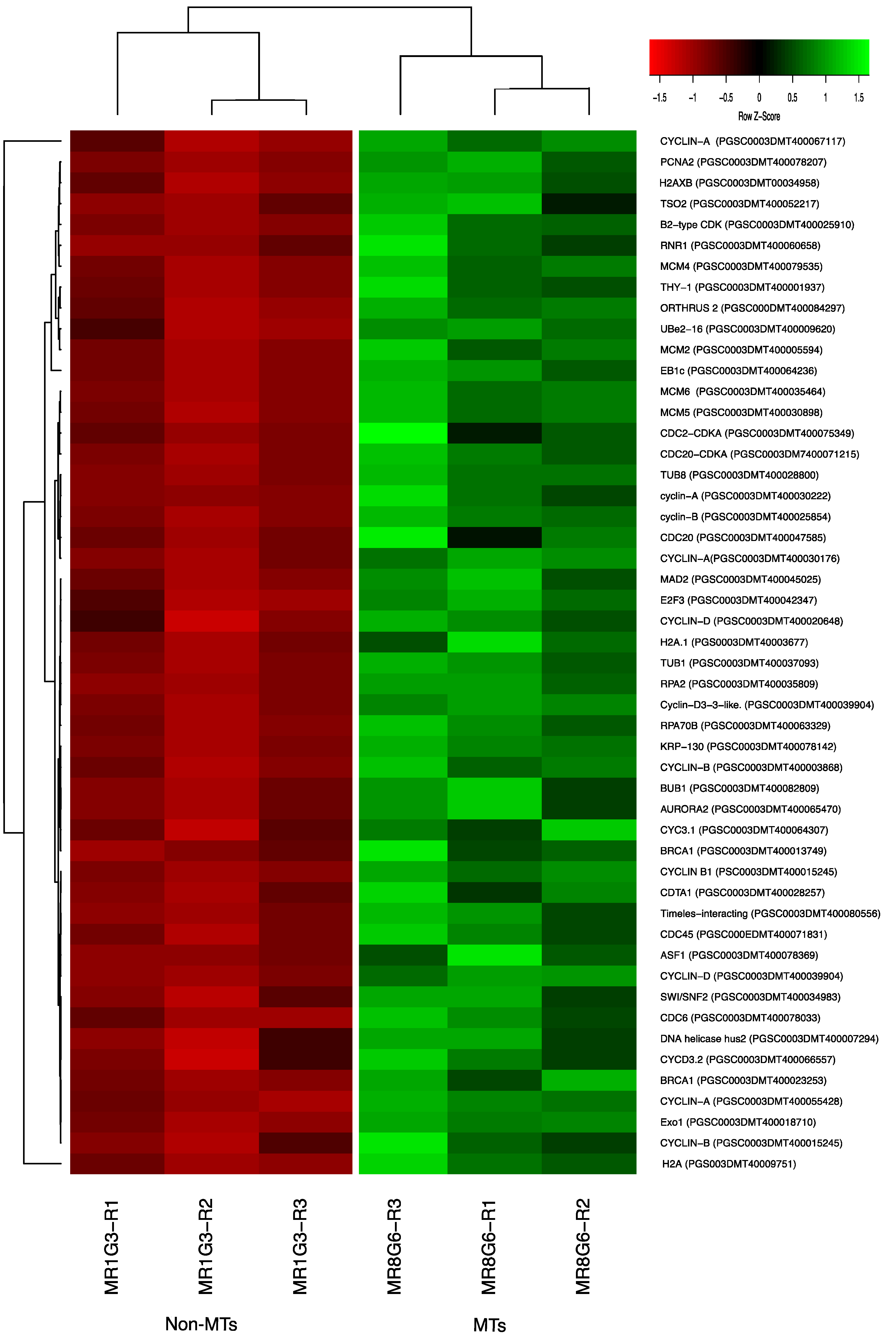 Ijms 23 13835 g012 Ijms 23 13835 g012