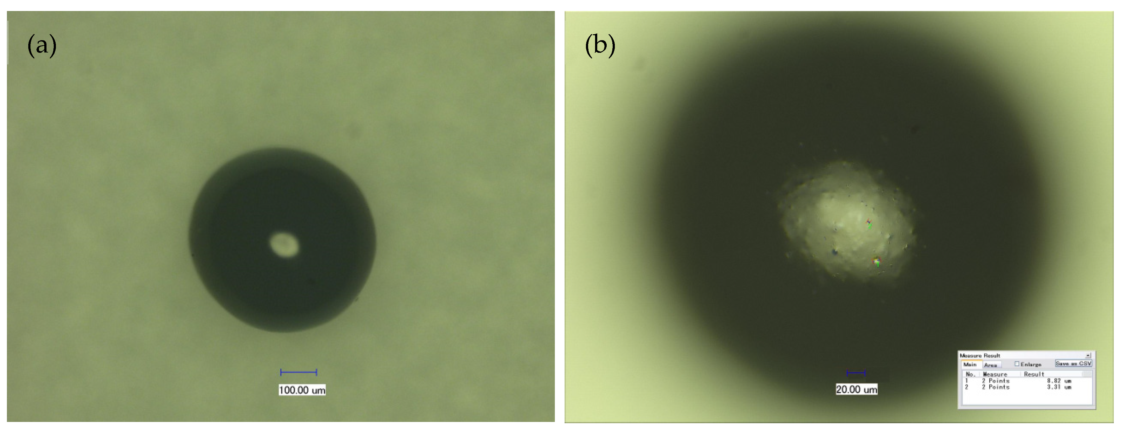 Ijms 23 13839 g001 Ijms 23 13839 g001