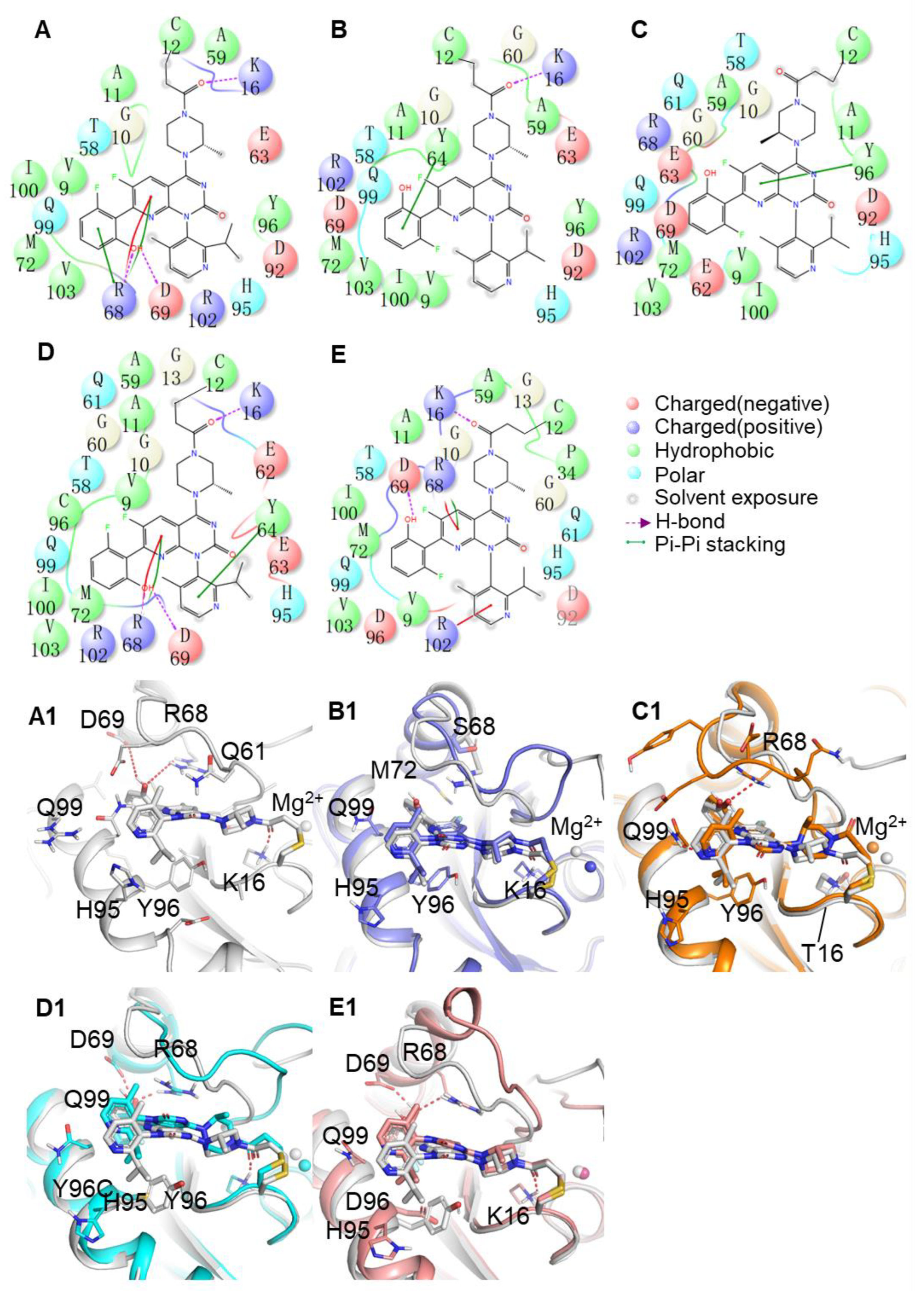 Ijms 23 13845 g005 Ijms 23 13845 g005