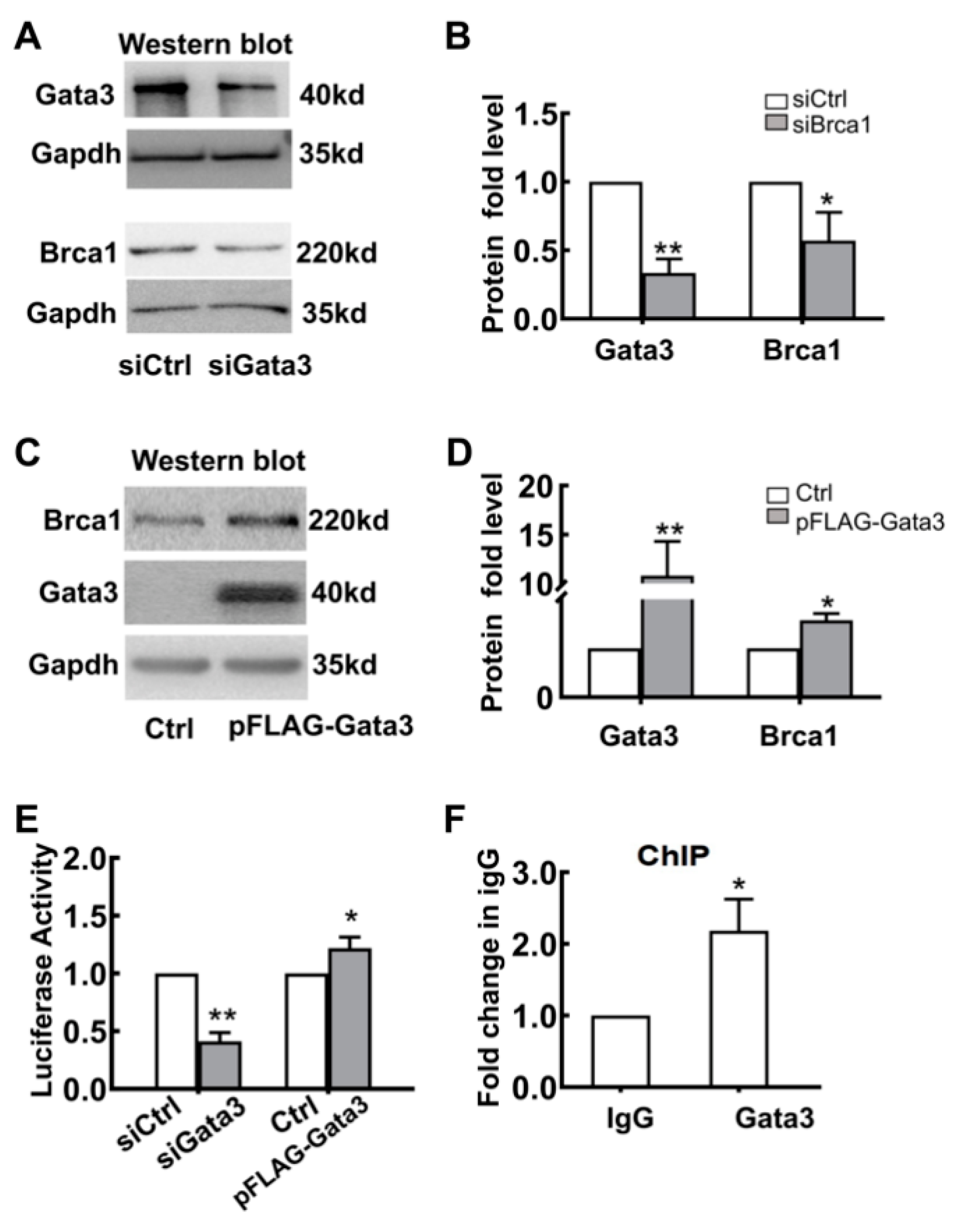 Ijms 23 13860 g004 Ijms 23 13860 g004