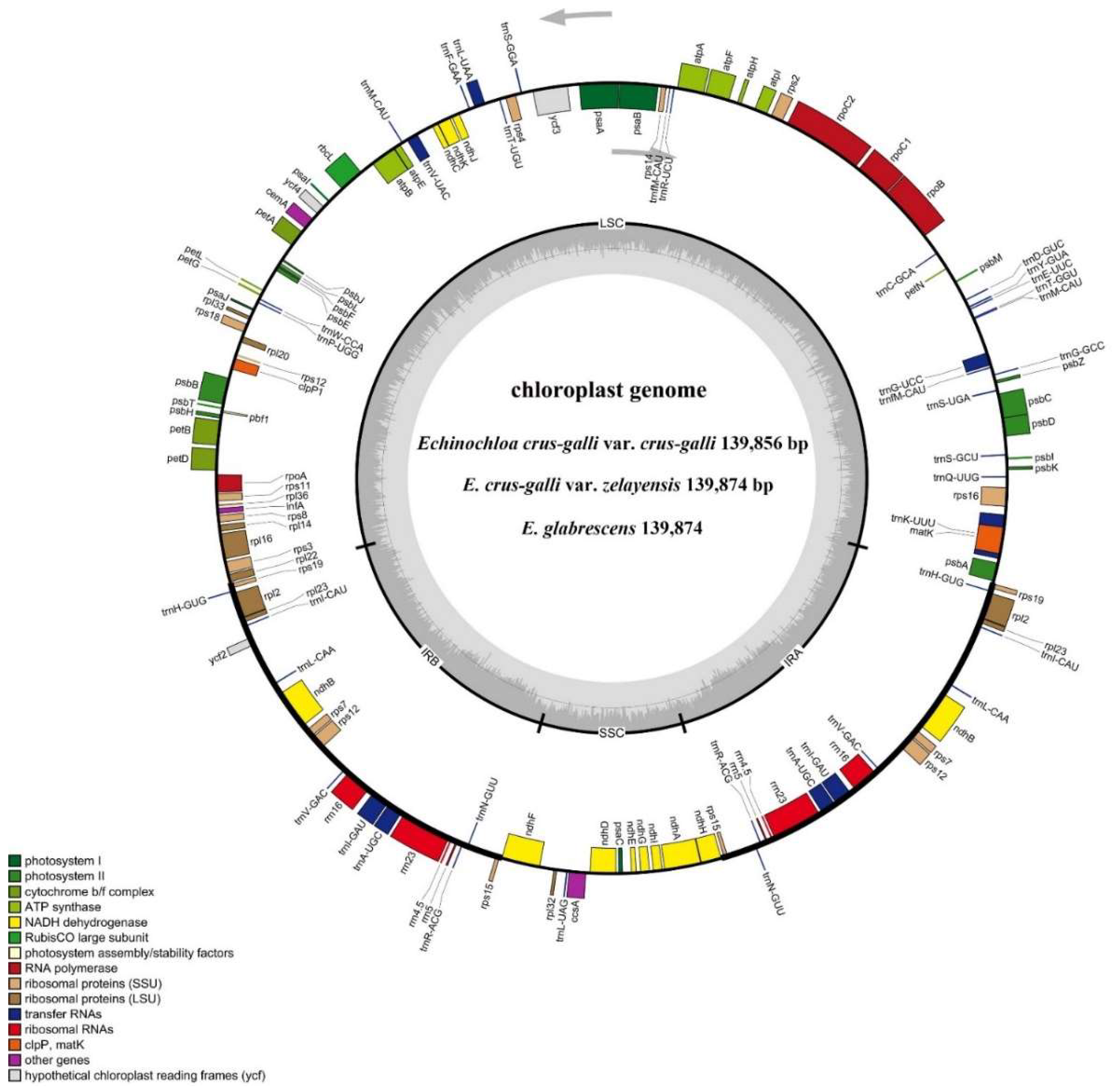 Ijms 23 13864 g003 Ijms 23 13864 g003