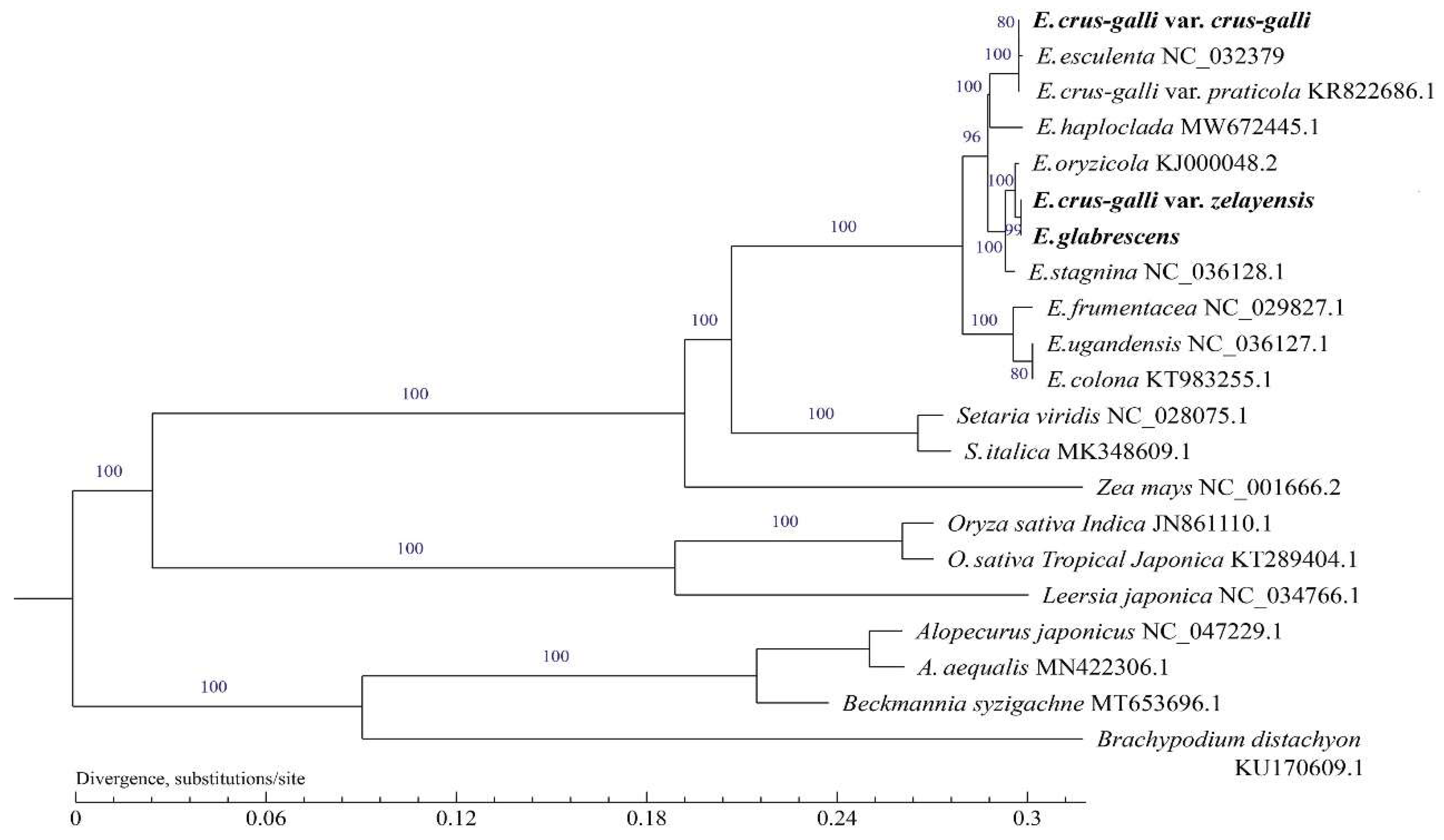 Ijms 23 13864 g006 Ijms 23 13864 g006