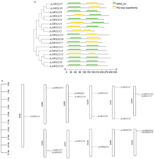Genome-Wide Identification and Expression Patterns of