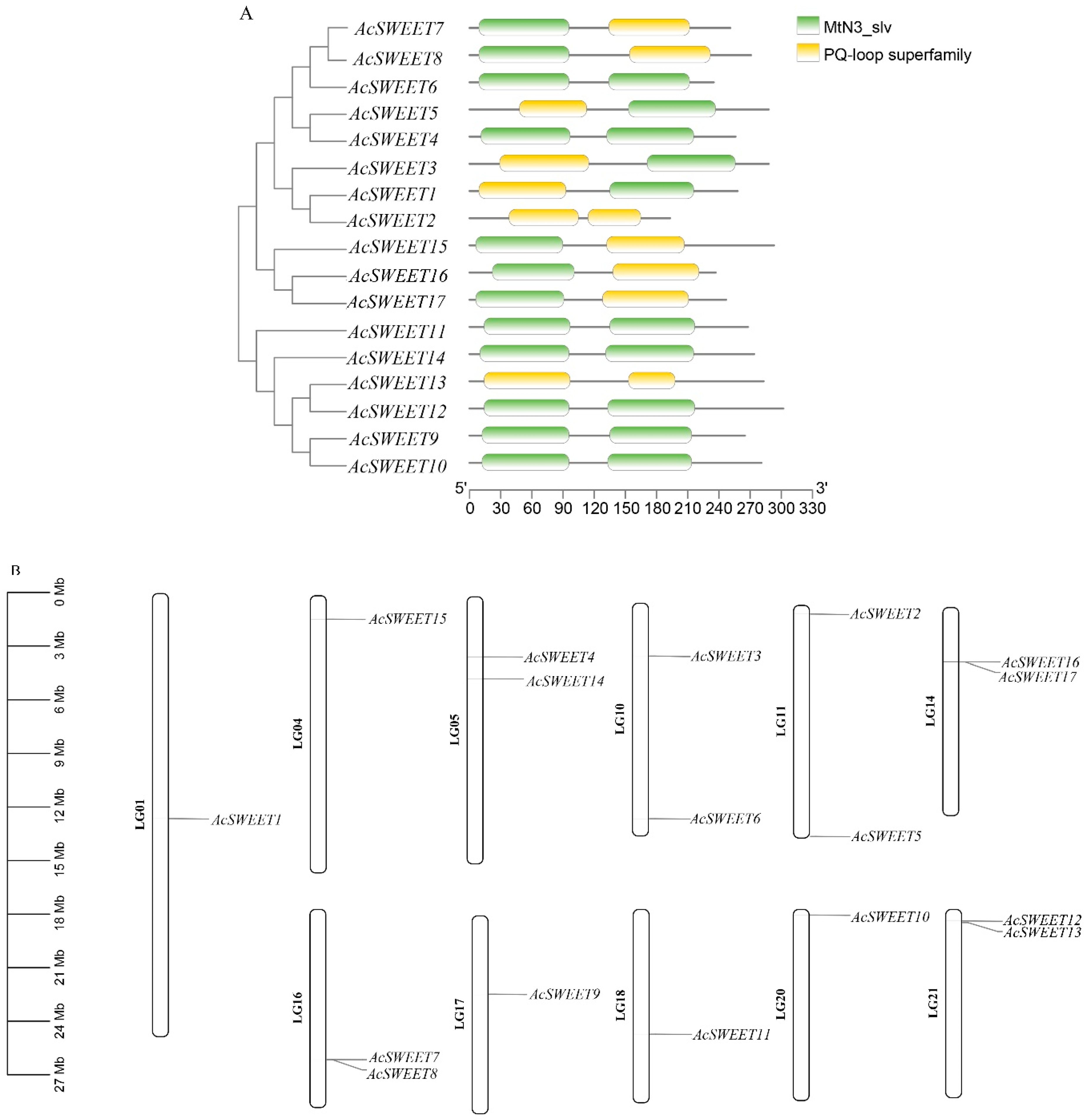 Microencapsulation of Bacteriophages for the Delivery to and