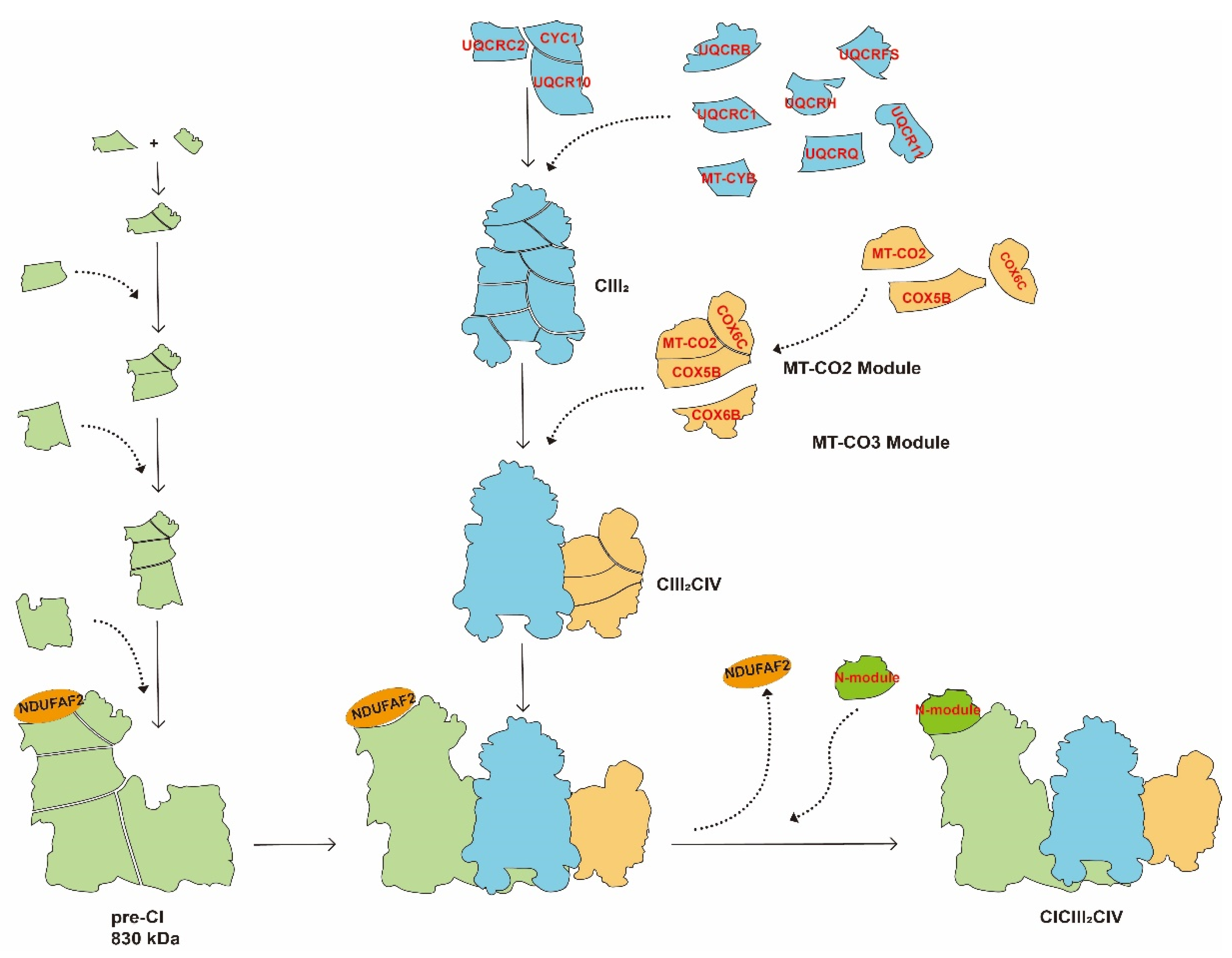 Ijms 23 13880 g003 Ijms 23 13880 g003