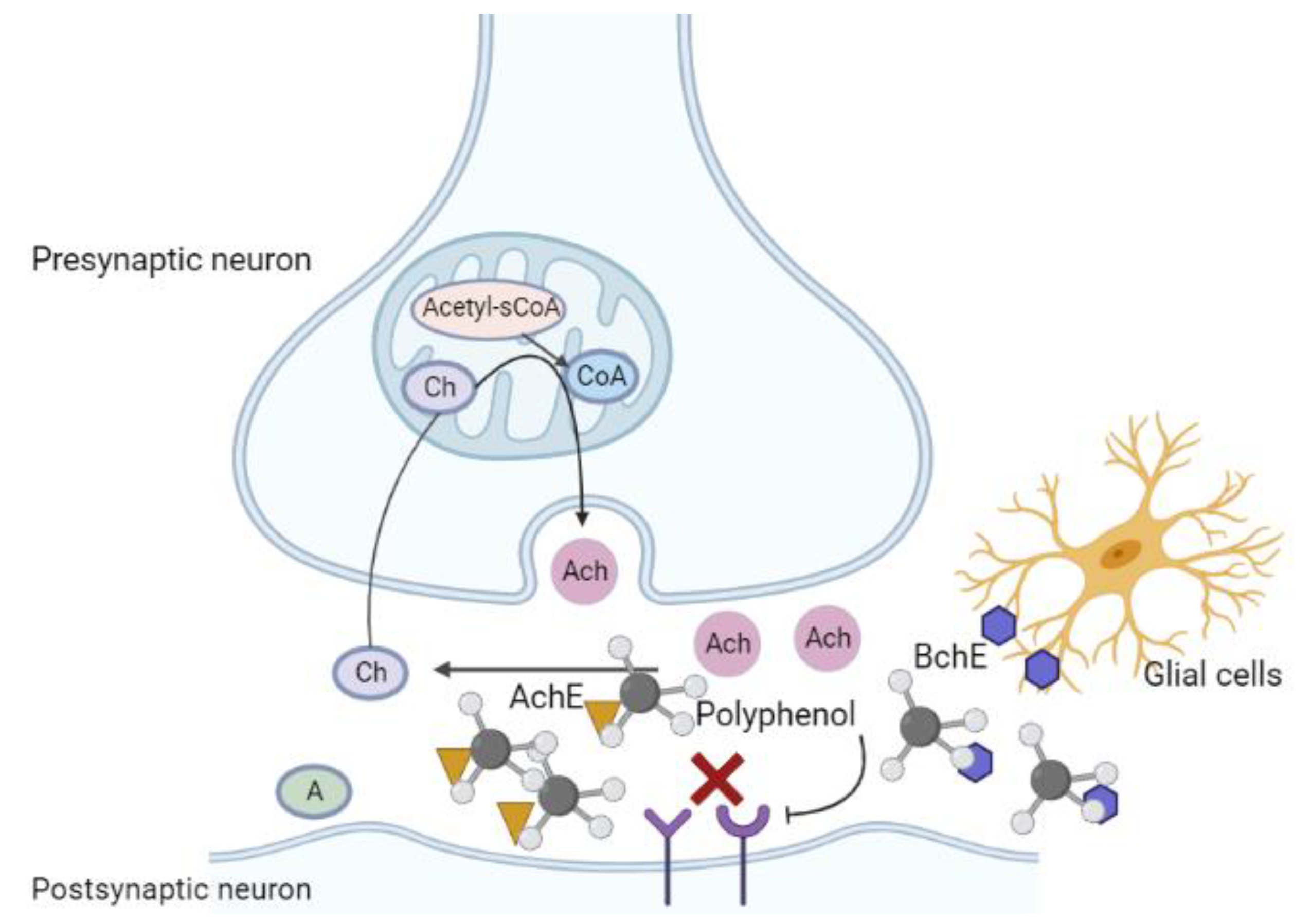 Ijms 23 13886 g005 Ijms 23 13886 g005
