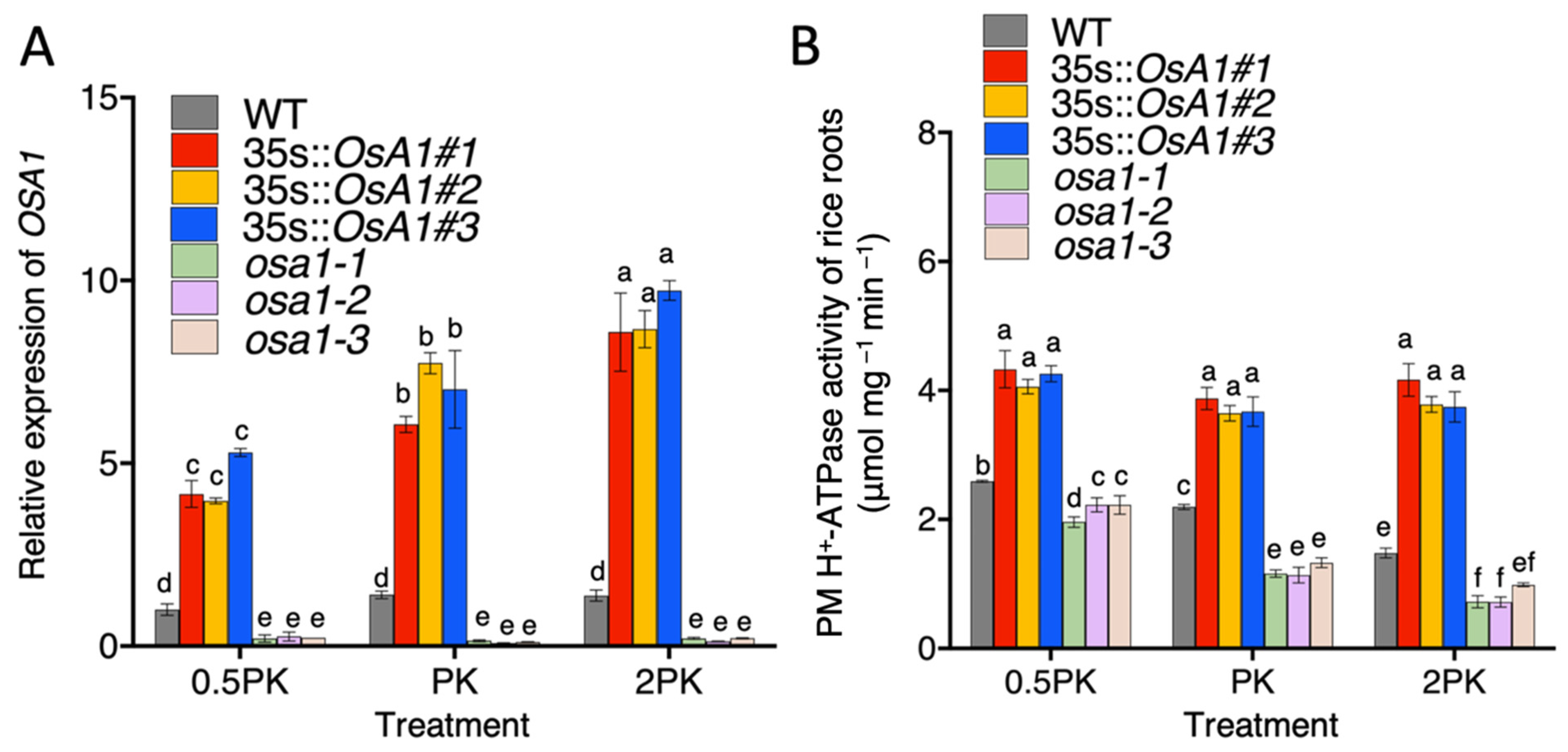 Ijms 23 13904 g002 Ijms 23 13904 g002