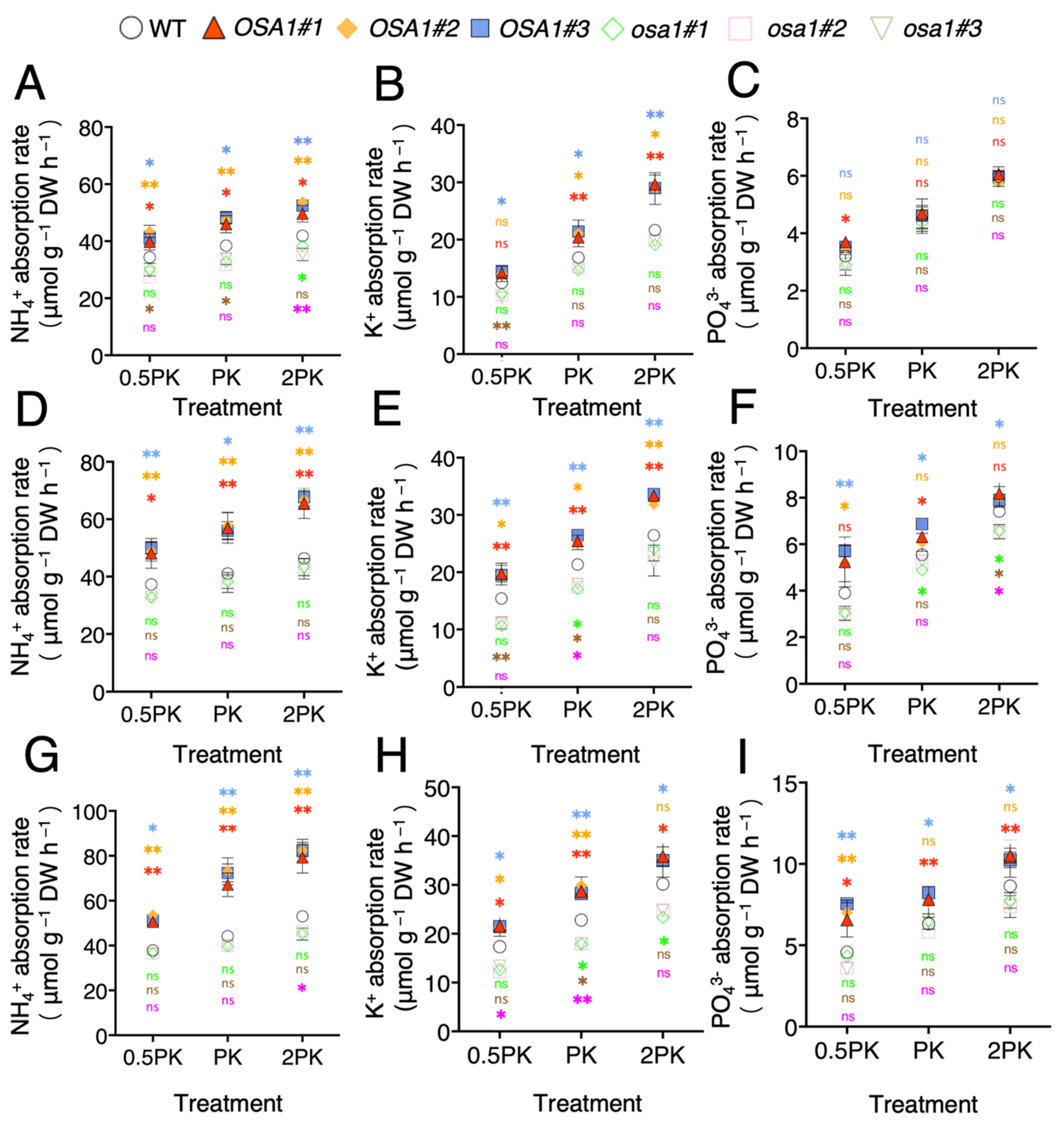 Ijms 23 13904 g003 Ijms 23 13904 g003