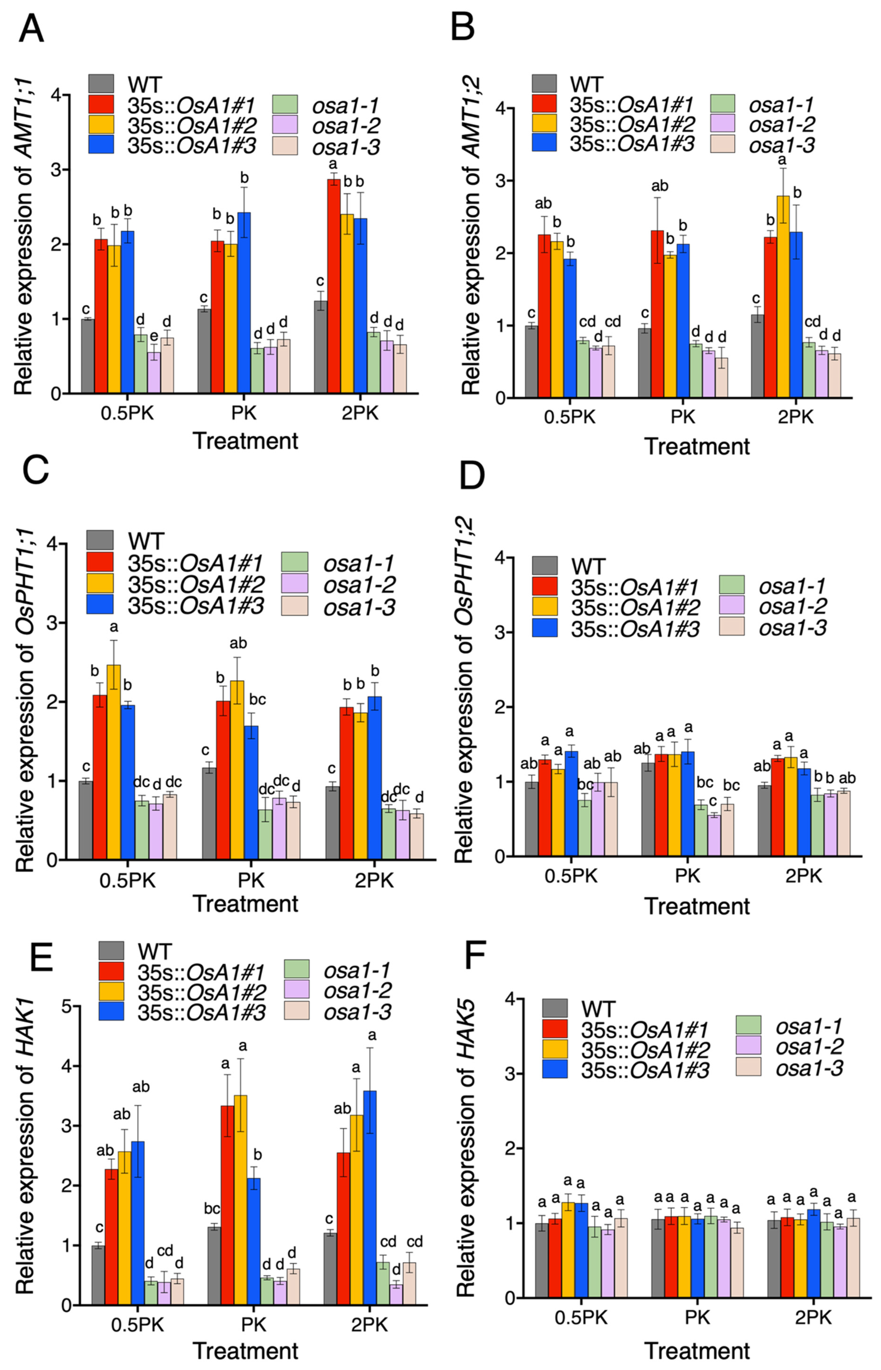 Ijms 23 13904 g004 Ijms 23 13904 g004