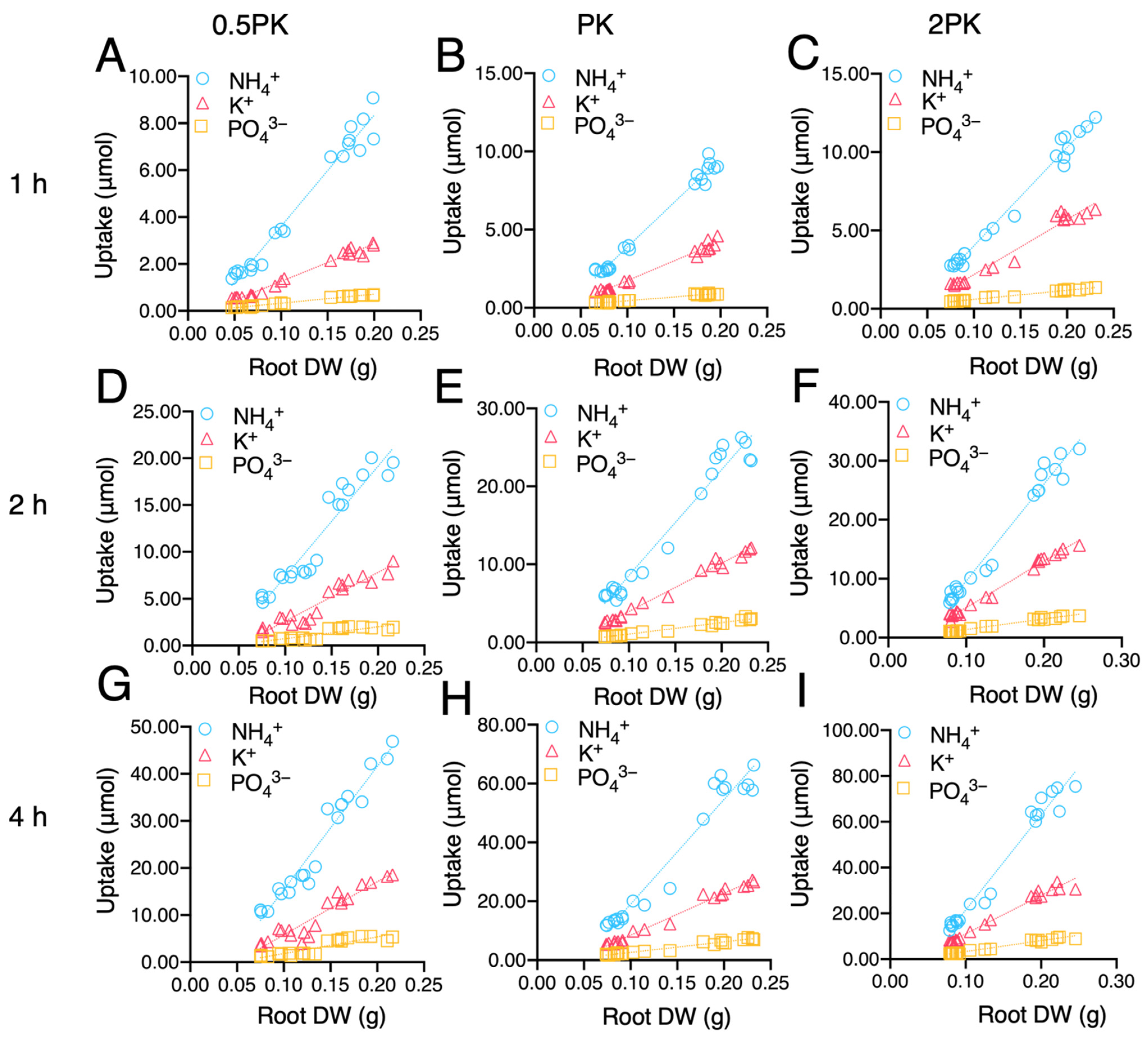 Ijms 23 13904 g005 Ijms 23 13904 g005