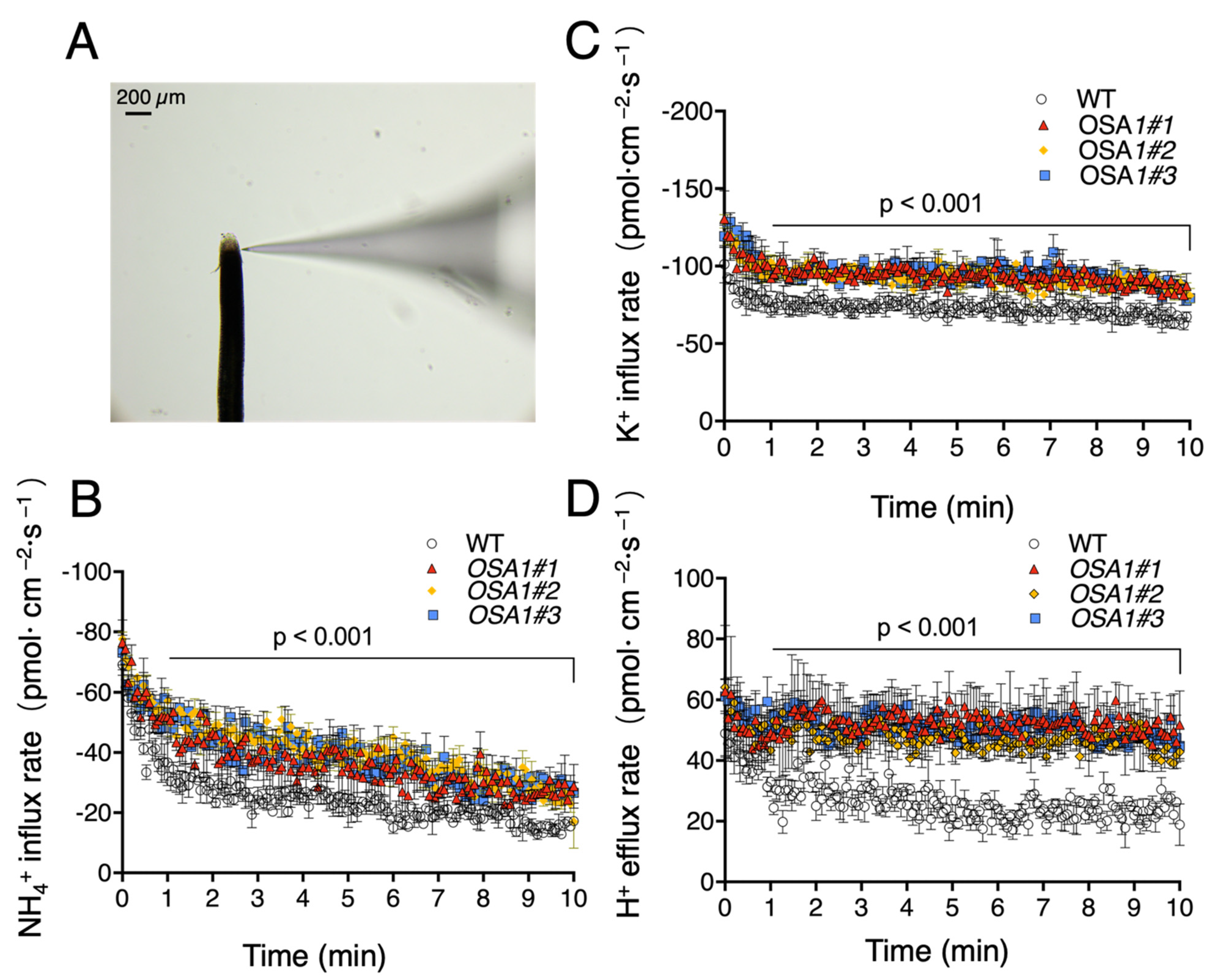 Ijms 23 13904 g006 Ijms 23 13904 g006