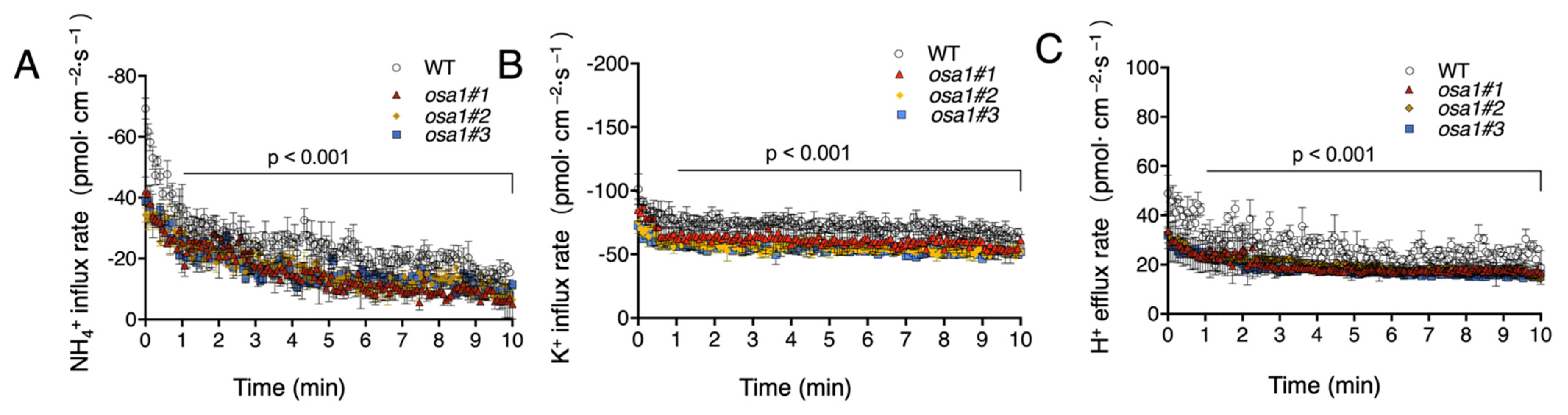 Ijms 23 13904 g007 Ijms 23 13904 g007